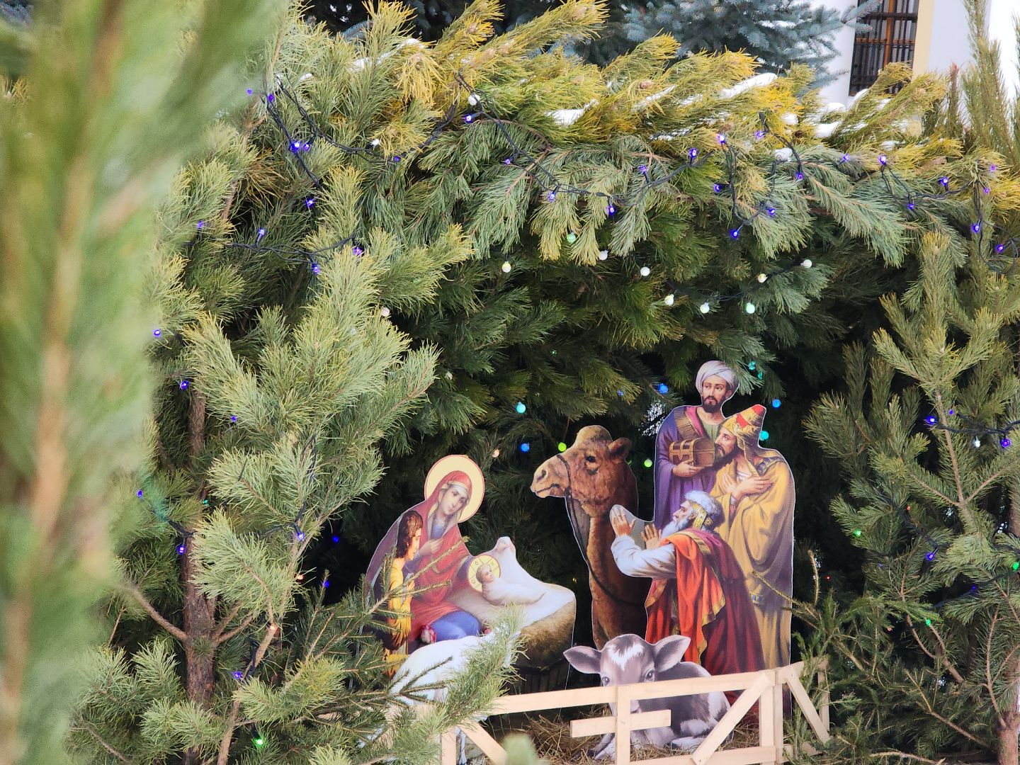 Рождество, Подольск, Православный праздник, Богослужение, Рождественский вертеп, вертикалки,