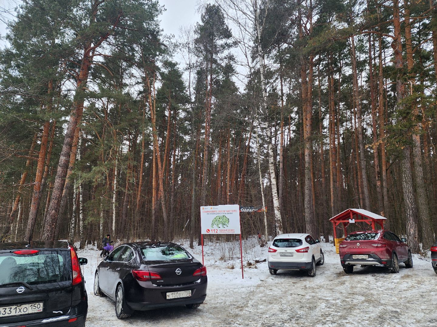 воскресенск, лыжи, спорт, вертикалки,