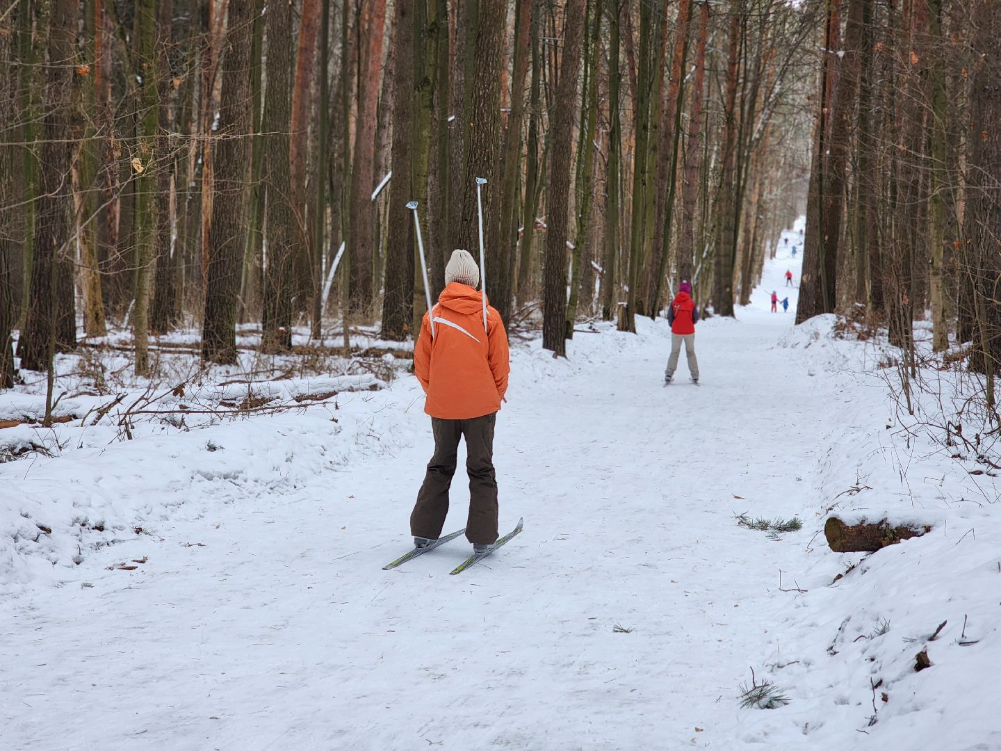 воскресенск, лыжи, спорт, вертикалки,