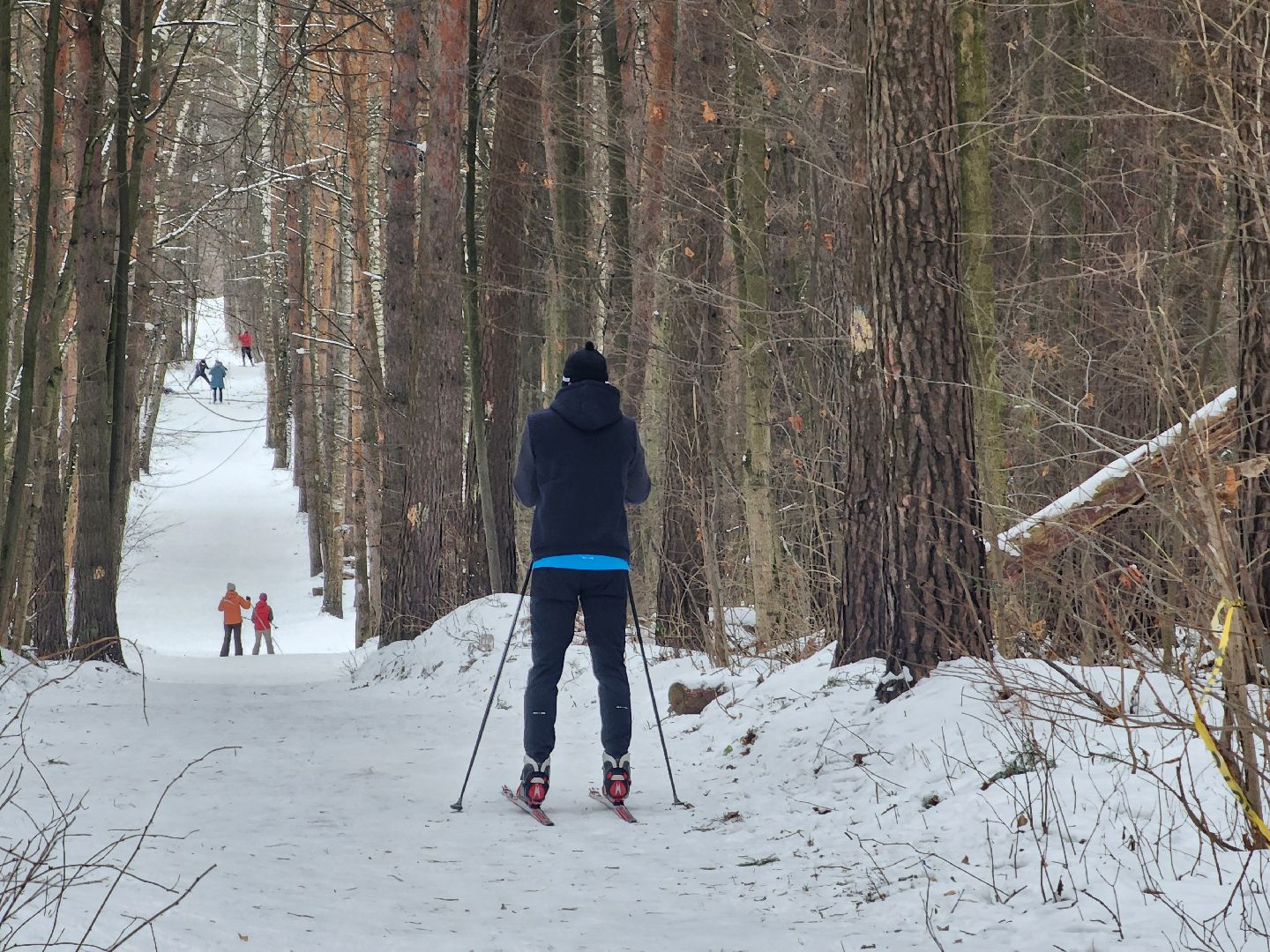 воскресенск, лыжи, спорт, вертикалки,