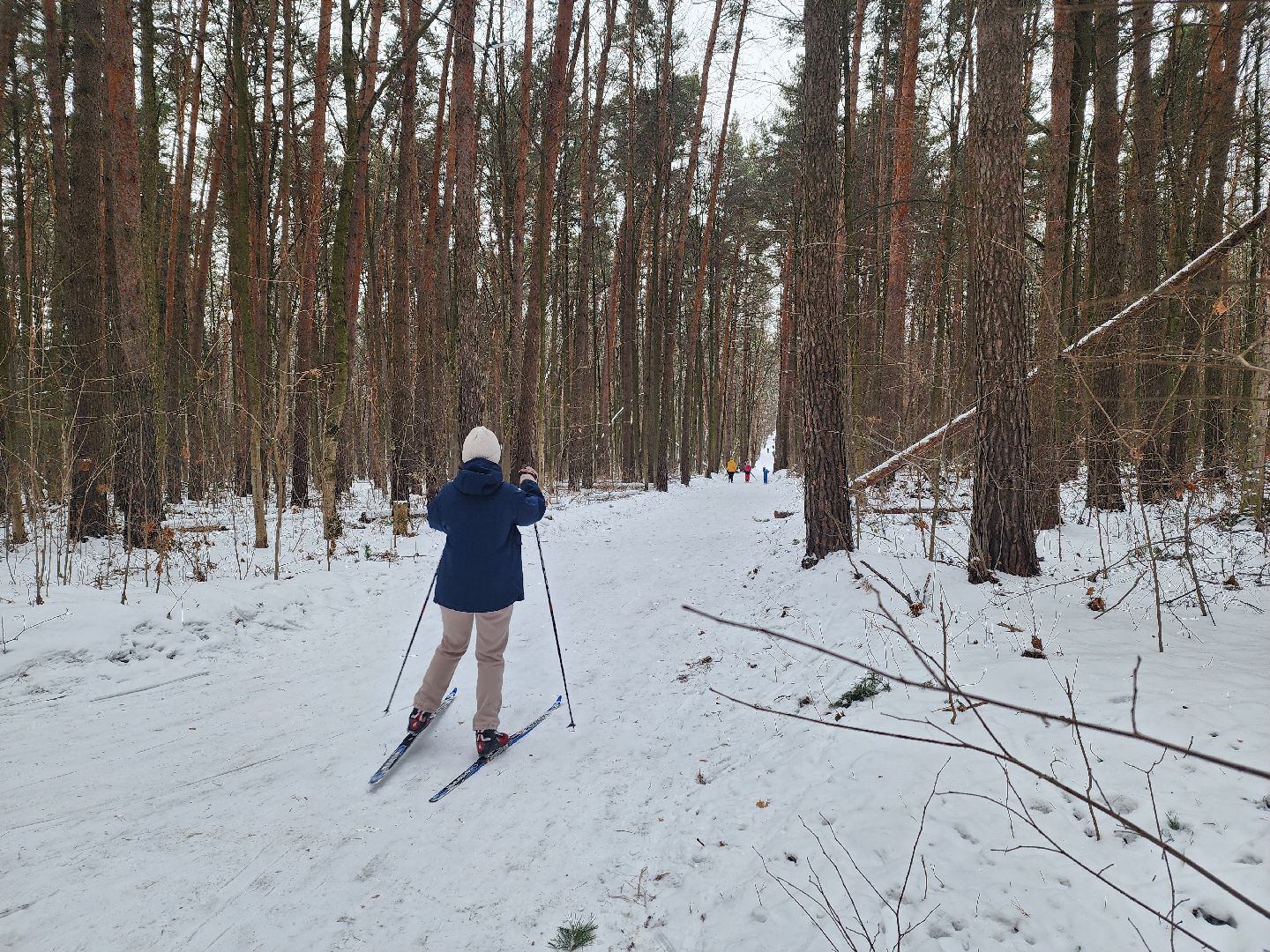 воскресенск, лыжи, спорт, вертикалки,