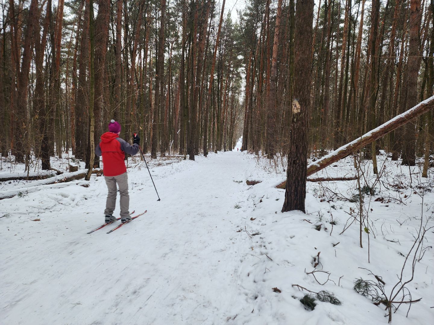 воскресенск, лыжи, спорт, вертикалки,