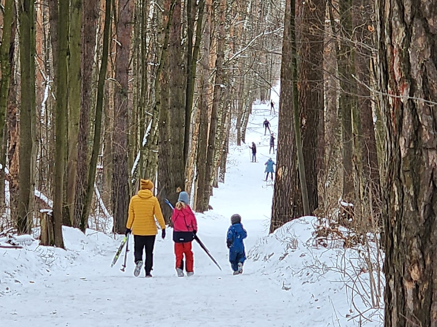 воскресенск, лыжи, спорт, вертикалки,