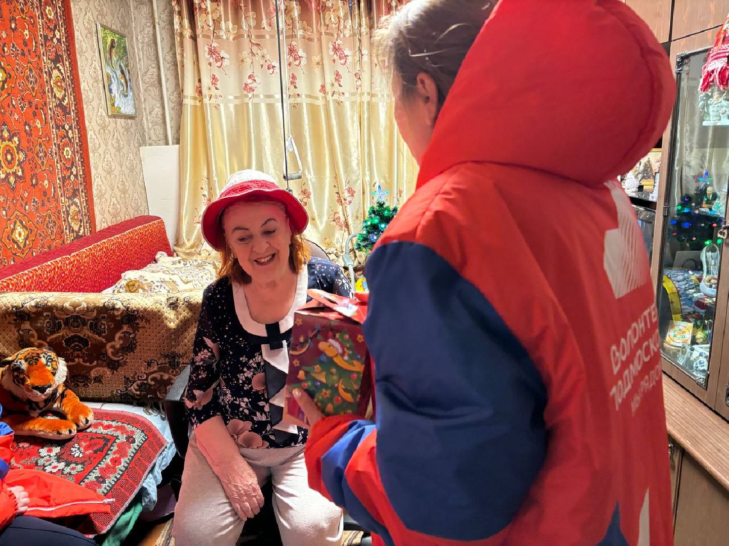 воскресенск, рождество, волонтеры,