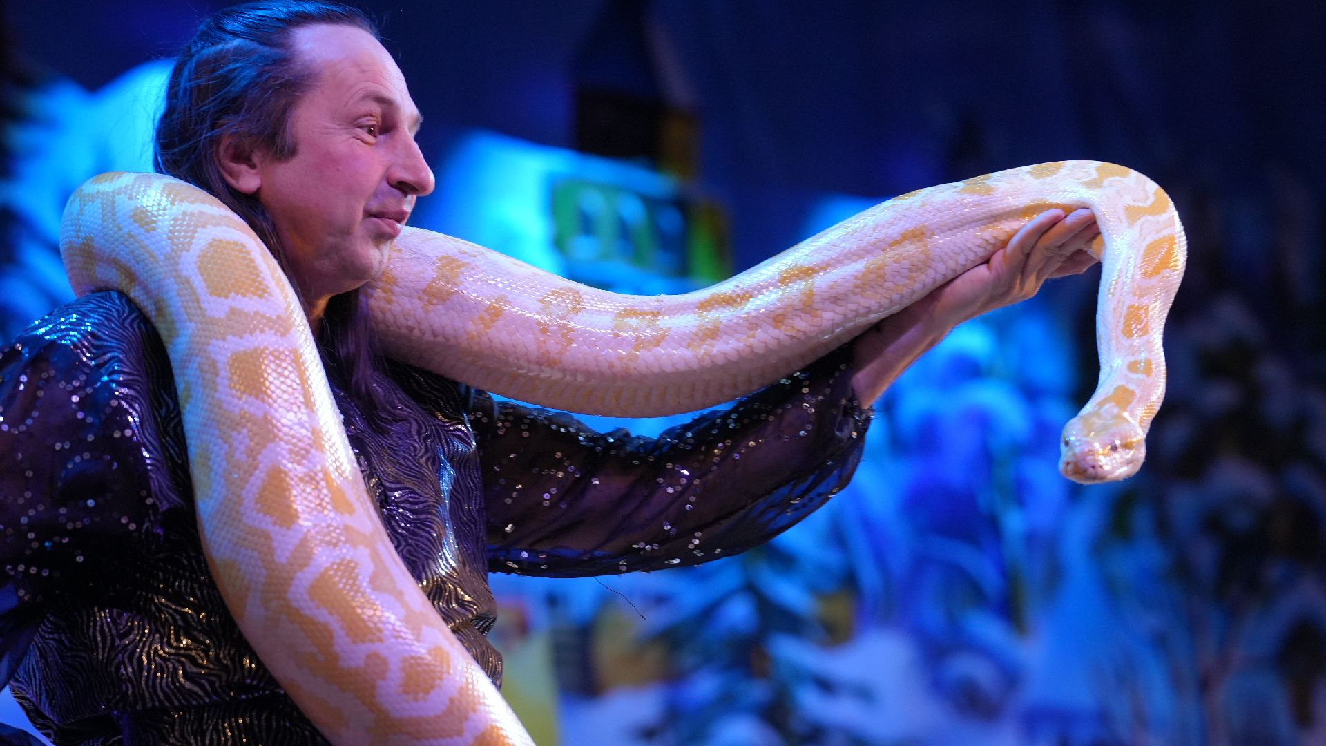 вертикалка, рождественская елка, змея, зима в подмосковье,