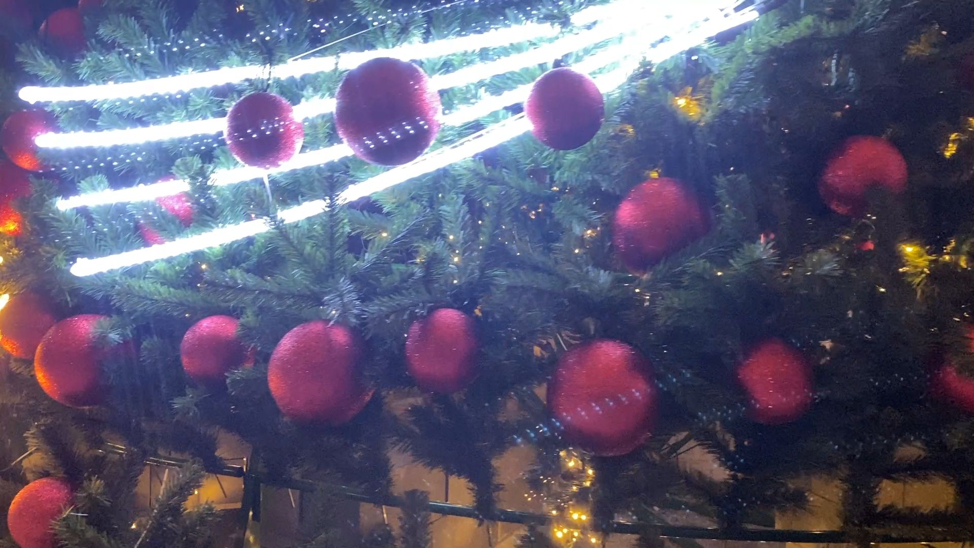 власиха новый год, новый 2025 год, праздник нового года, улицы власихи в новый год, праздник власиха,