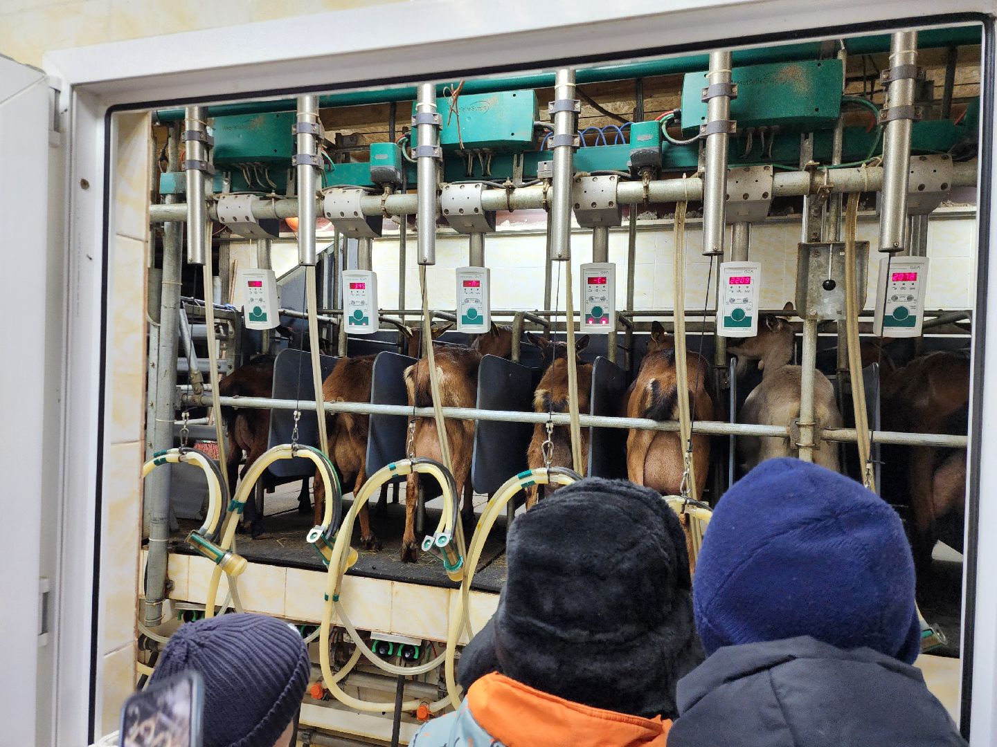 Луховицы, Былинкино, Новогодний мастер-класс,