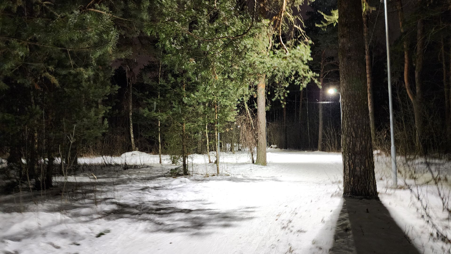 лыжная трасса, зимние виды спорта, стадион Труд, Старая Купавна, Богородский городской округ,