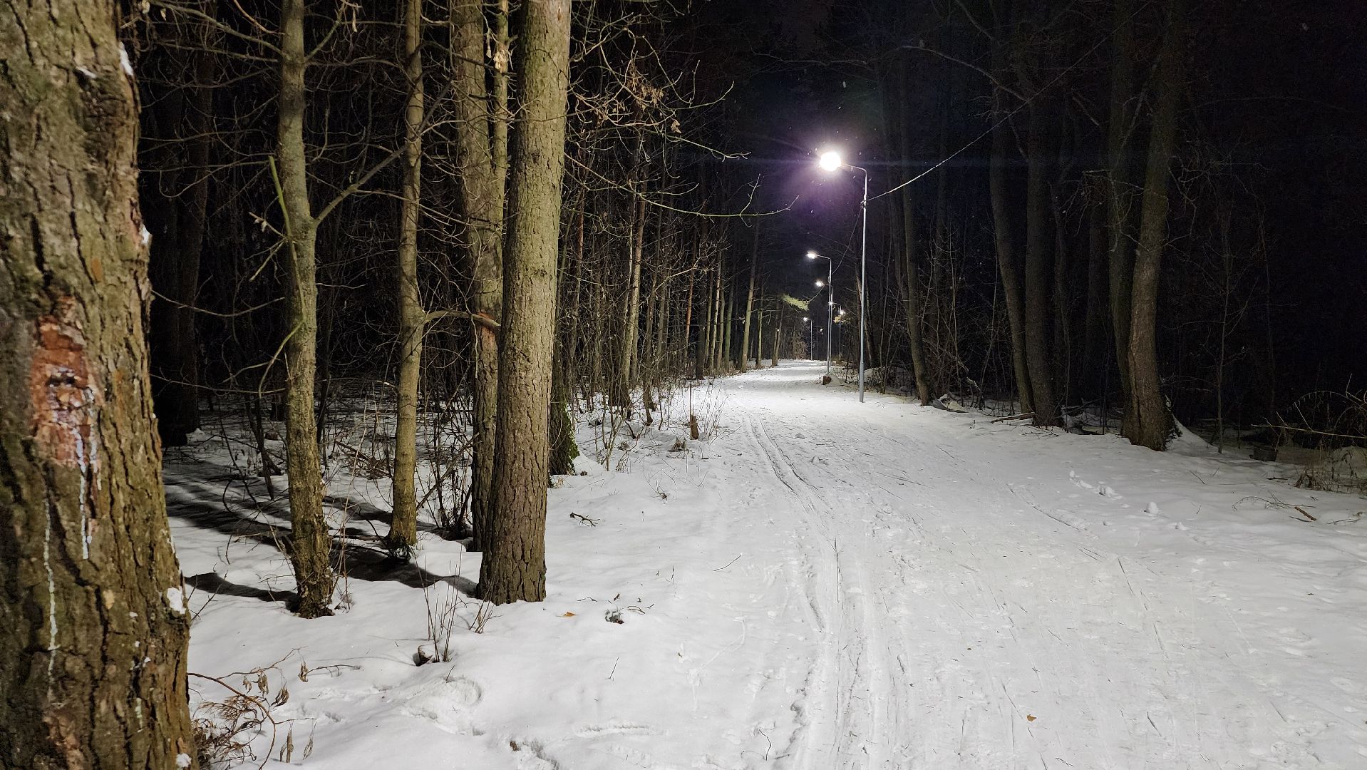 лыжная трасса, зимние виды спорта, стадион Труд, Старая Купавна, Богородский городской округ,
