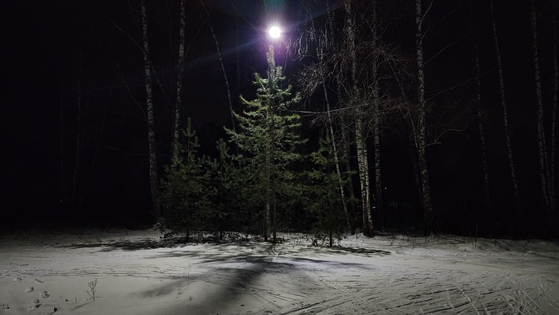 лыжная трасса, зимние виды спорта, стадион Труд, Старая Купавна, Богородский городской округ,