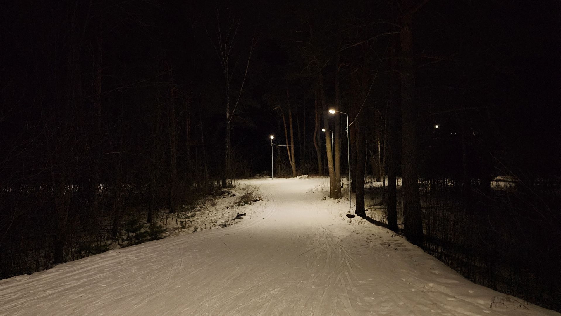 лыжная трасса, зимние виды спорта, стадион Труд, Старая Купавна, Богородский городской округ,