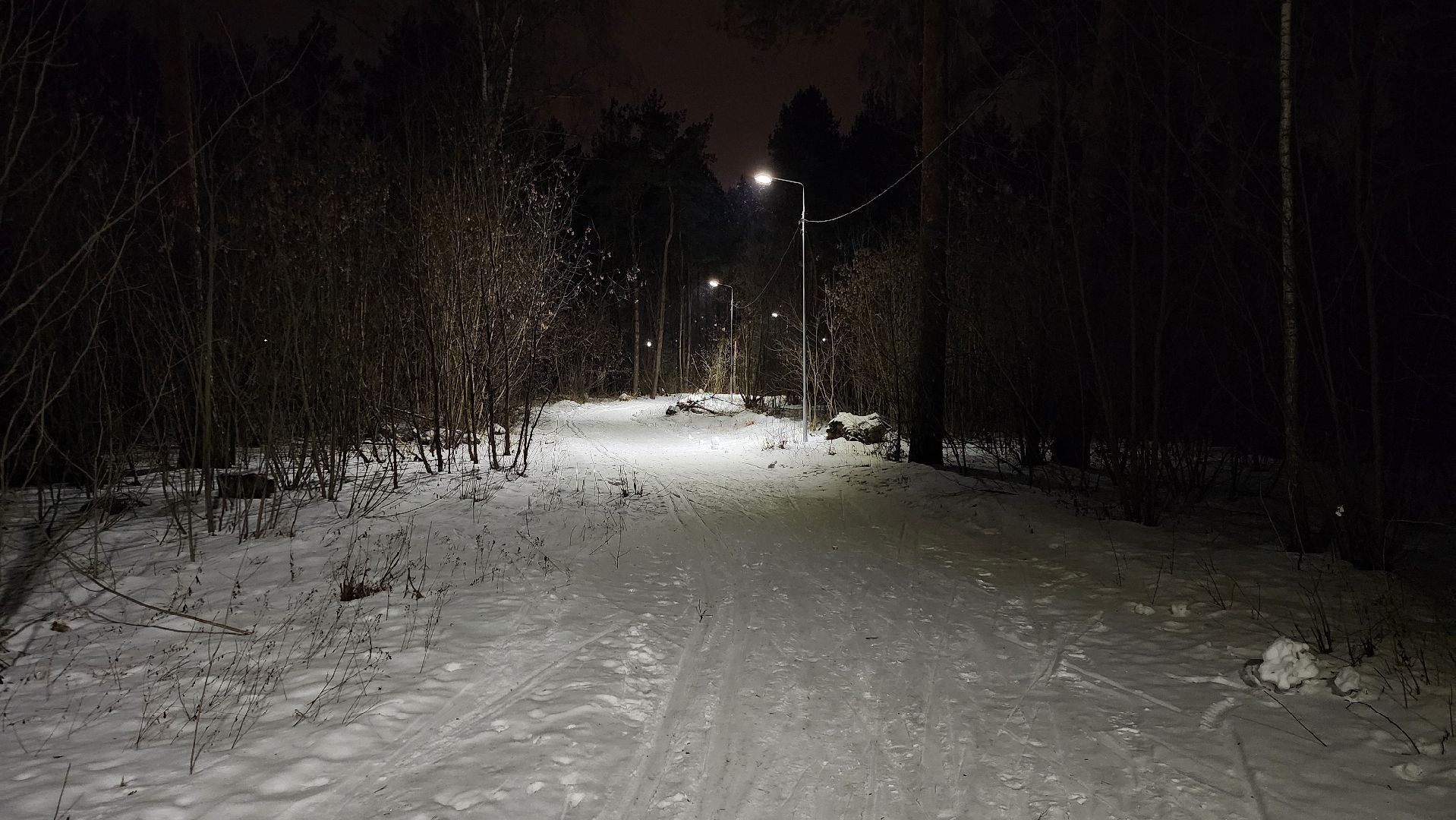 лыжная трасса, зимние виды спорта, стадион Труд, Старая Купавна, Богородский городской округ,