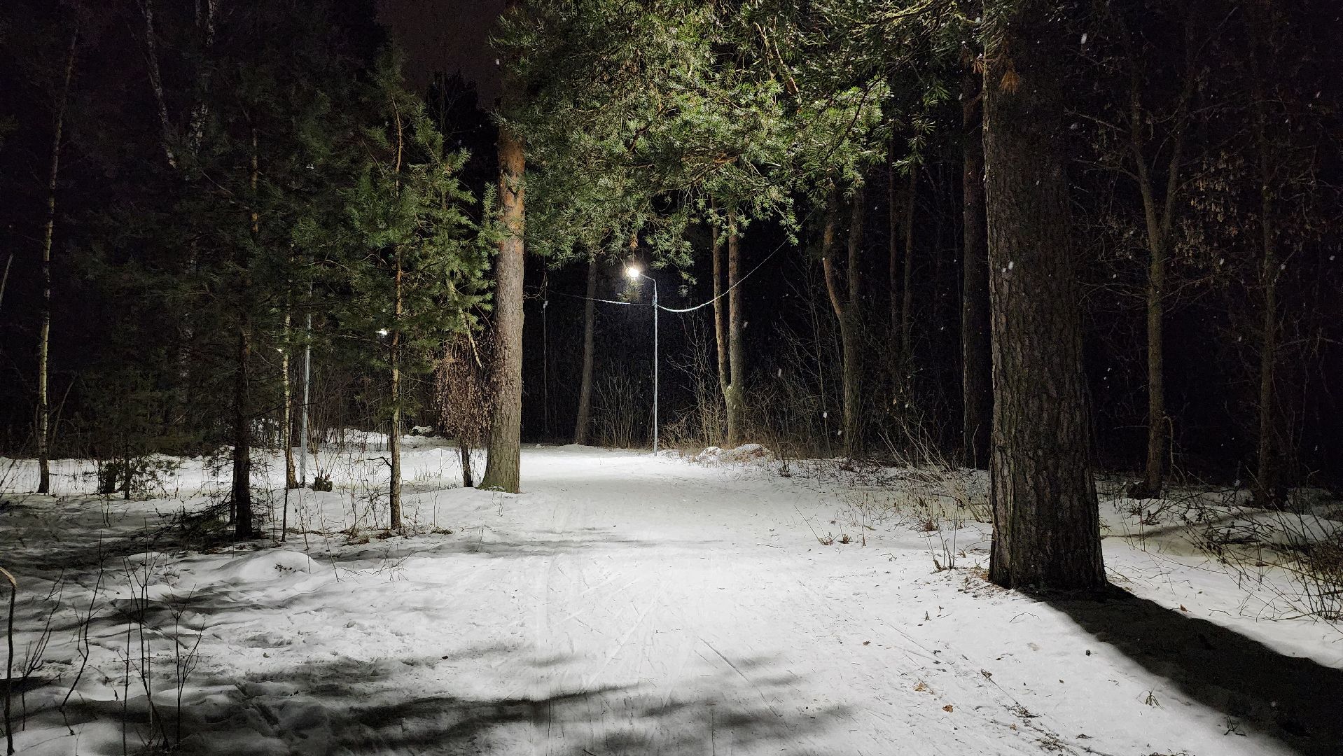 лыжная трасса, зимние виды спорта, стадион Труд, Старая Купавна, Богородский городской округ,