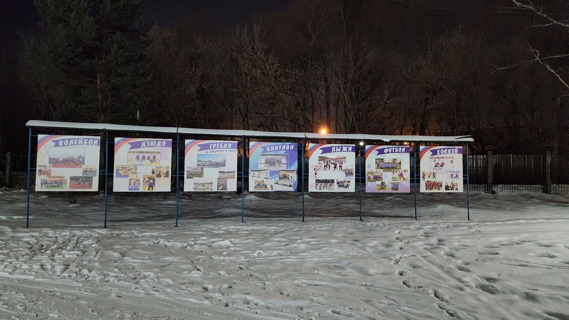 лыжная трасса, зимние виды спорта, стадион Труд, Старая Купавна, Богородский городской округ,