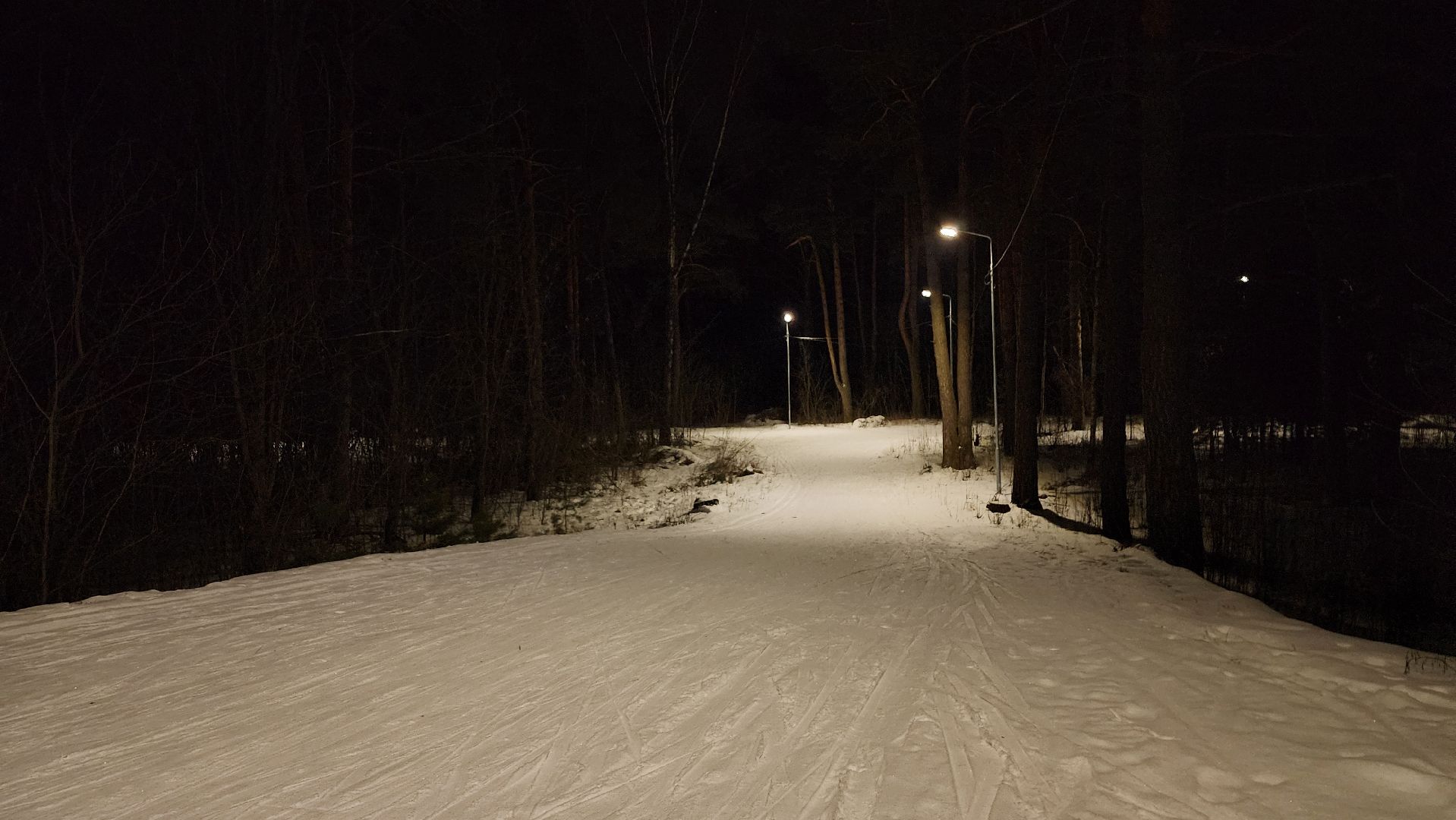 лыжная трасса, зимние виды спорта, стадион Труд, Старая Купавна, Богородский городской округ,