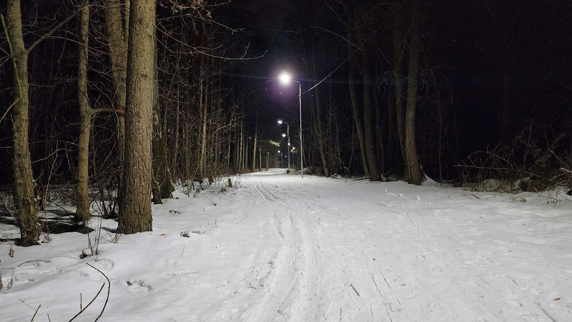лыжная трасса, зимние виды спорта, стадион Труд, Старая Купавна, Богородский городской округ,