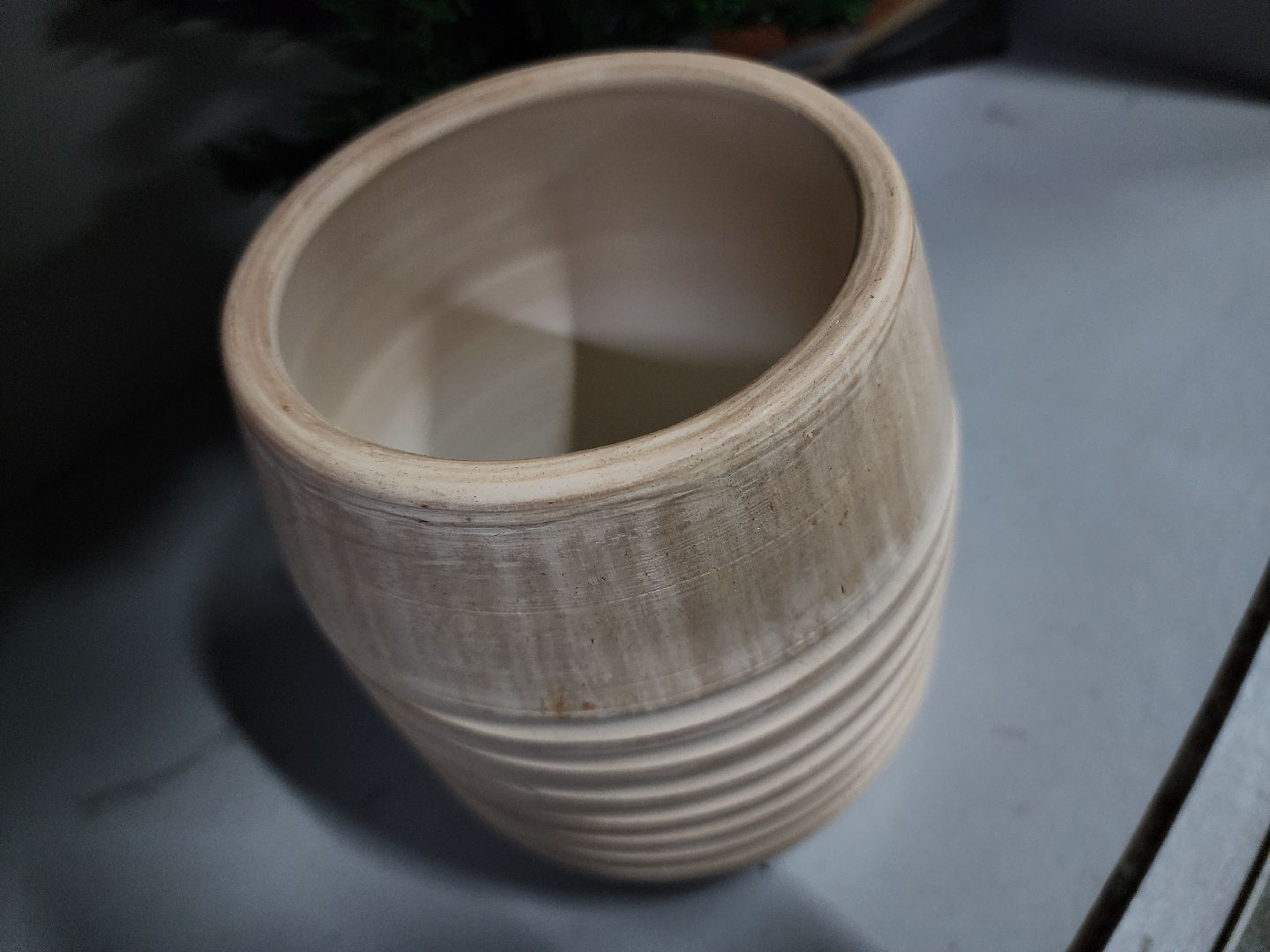 Егорьевск, Подмосковье, Московская область, зима в подмосковье, горлица,ВЕРТИКАЛКи,