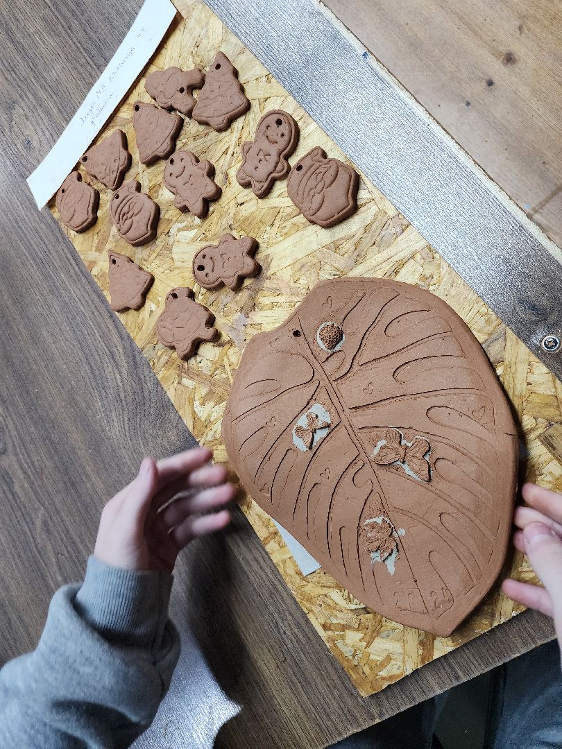 Егорьевск, Подмосковье, Московская область, зима в подмосковье, горлица,ВЕРТИКАЛКи,