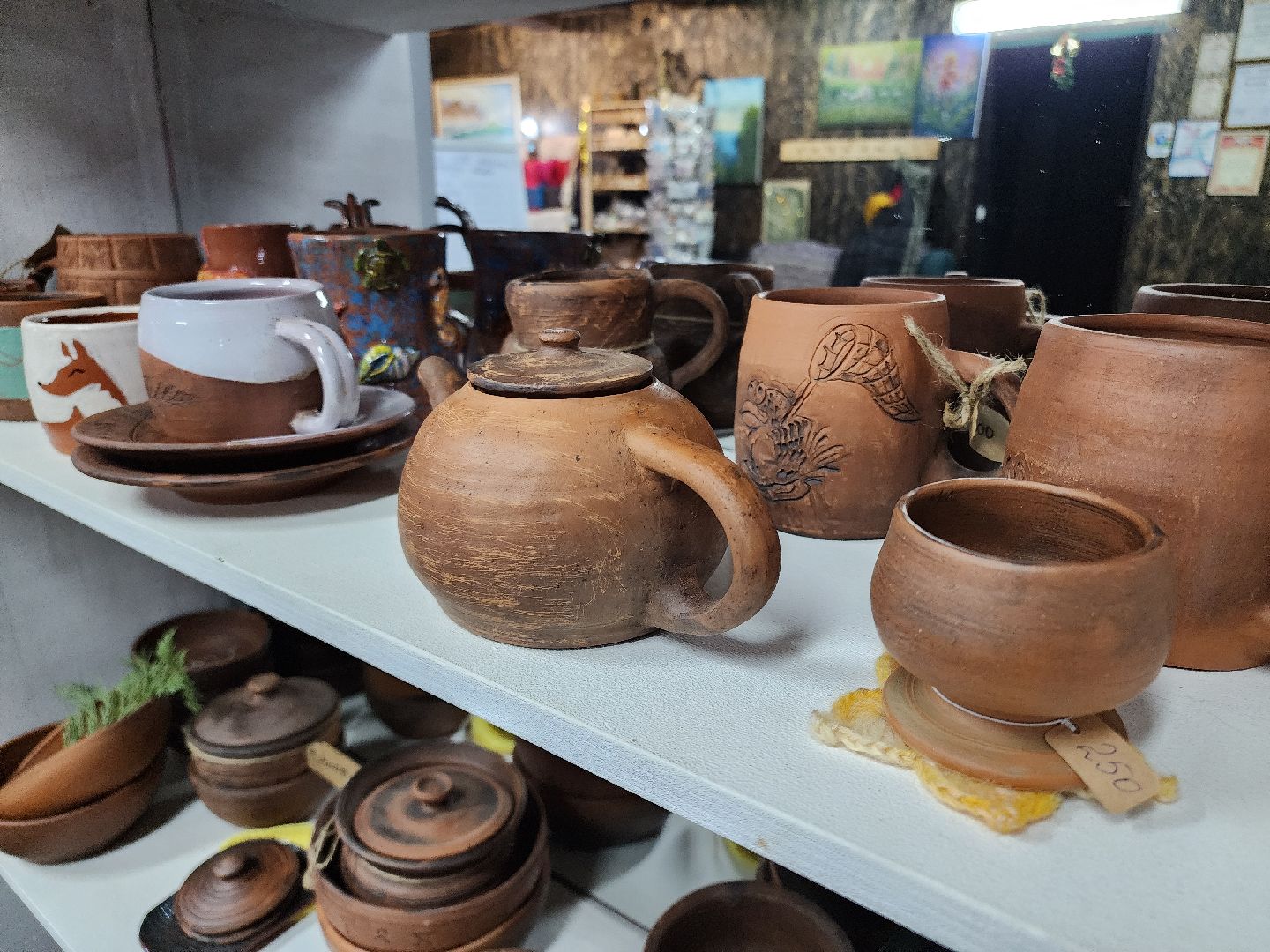 Егорьевск, Подмосковье, Московская область, зима в подмосковье, горлица,ВЕРТИКАЛКи,