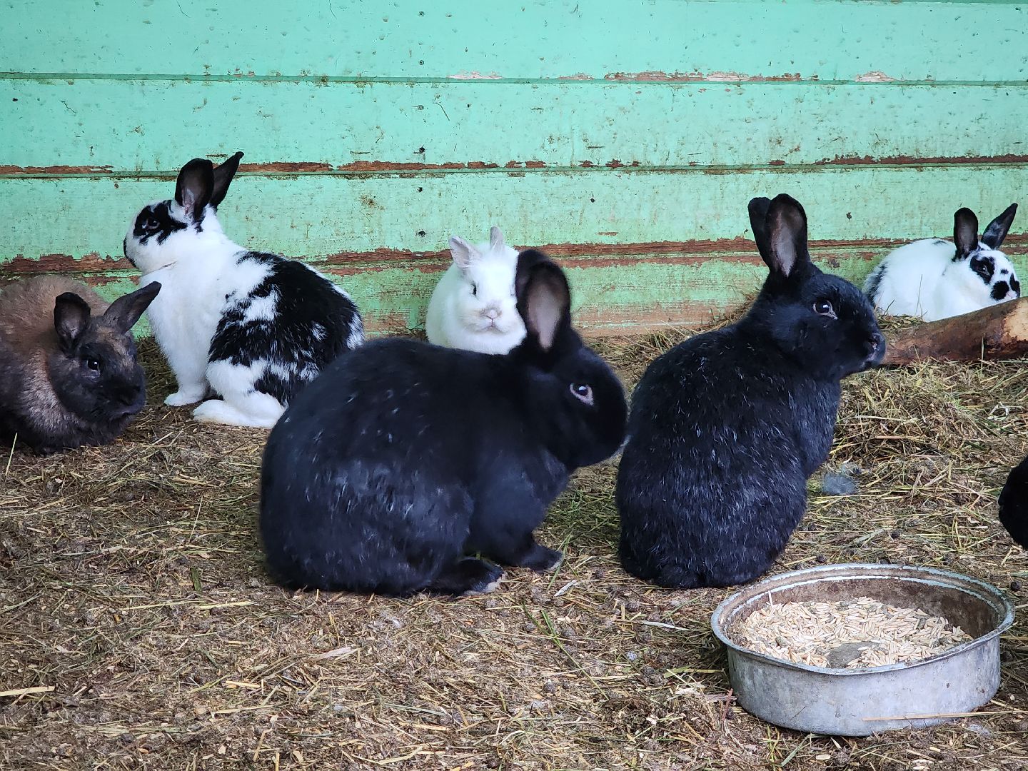 Егорьевск, Зима в Подмосковье, Московская область, Бережки холл,ВЕРТИКАЛКи,