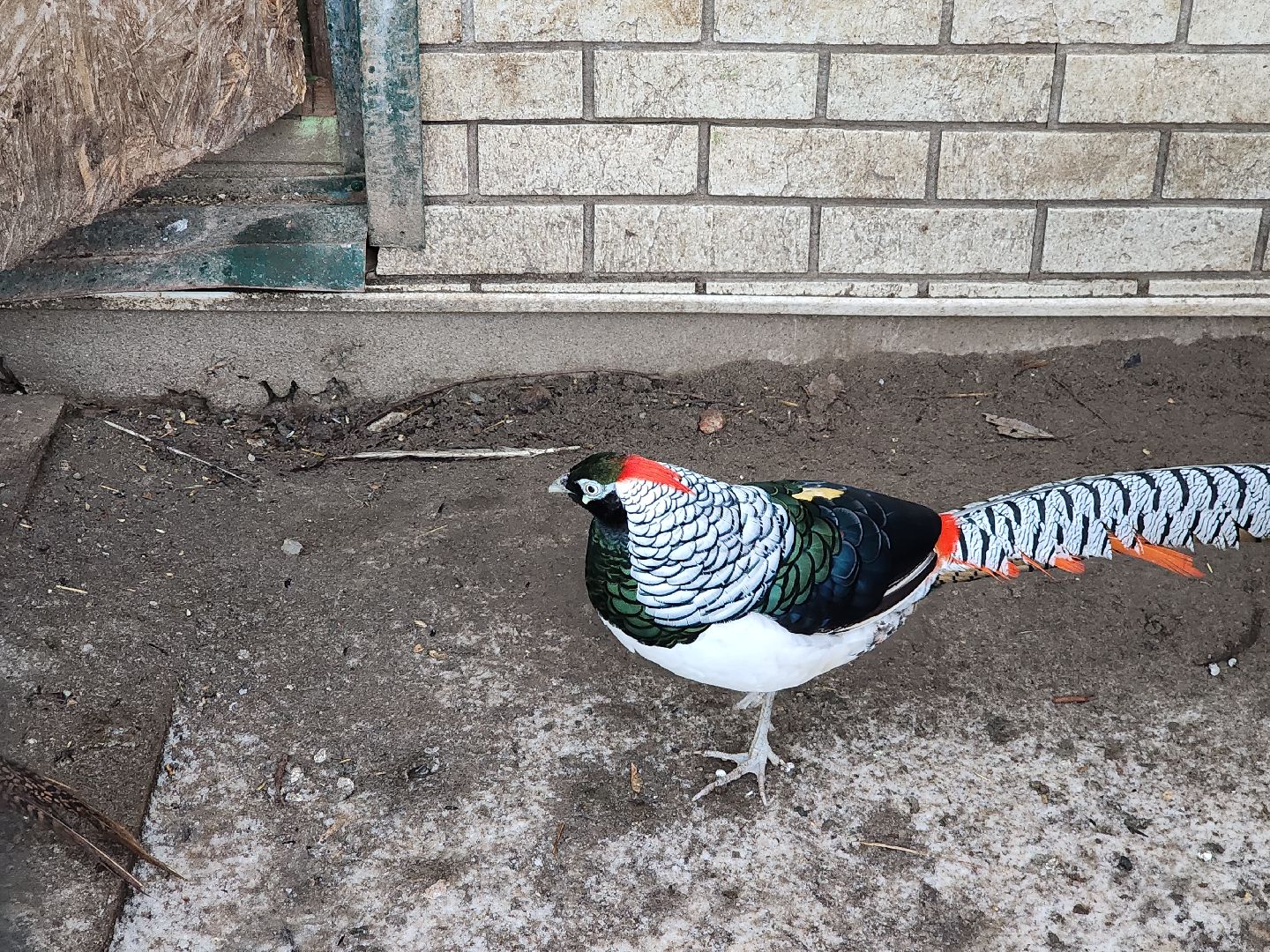 Егорьевск, Зима в Подмосковье, Московская область, Бережки холл,ВЕРТИКАЛКи,