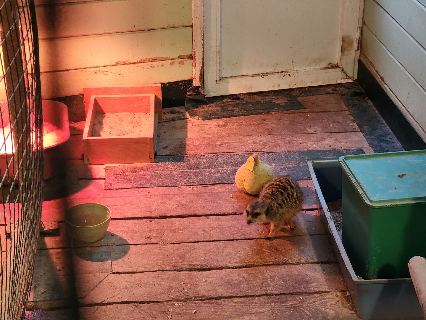 Егорьевск, Зима в Подмосковье, Московская область, Бережки холл,ВЕРТИКАЛКи,