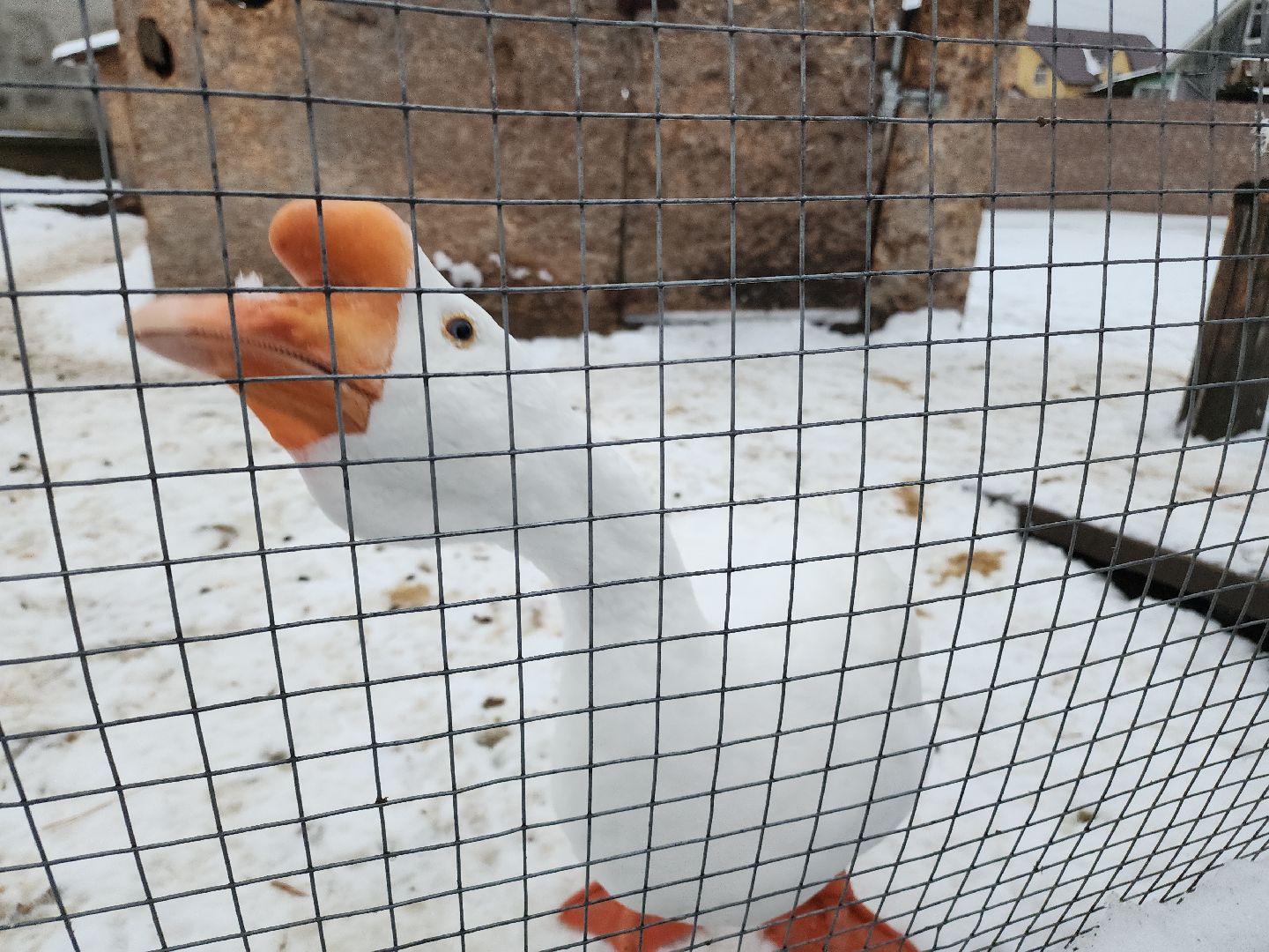 Егорьевск, Зима в Подмосковье, Московская область, Бережки холл,ВЕРТИКАЛКи,