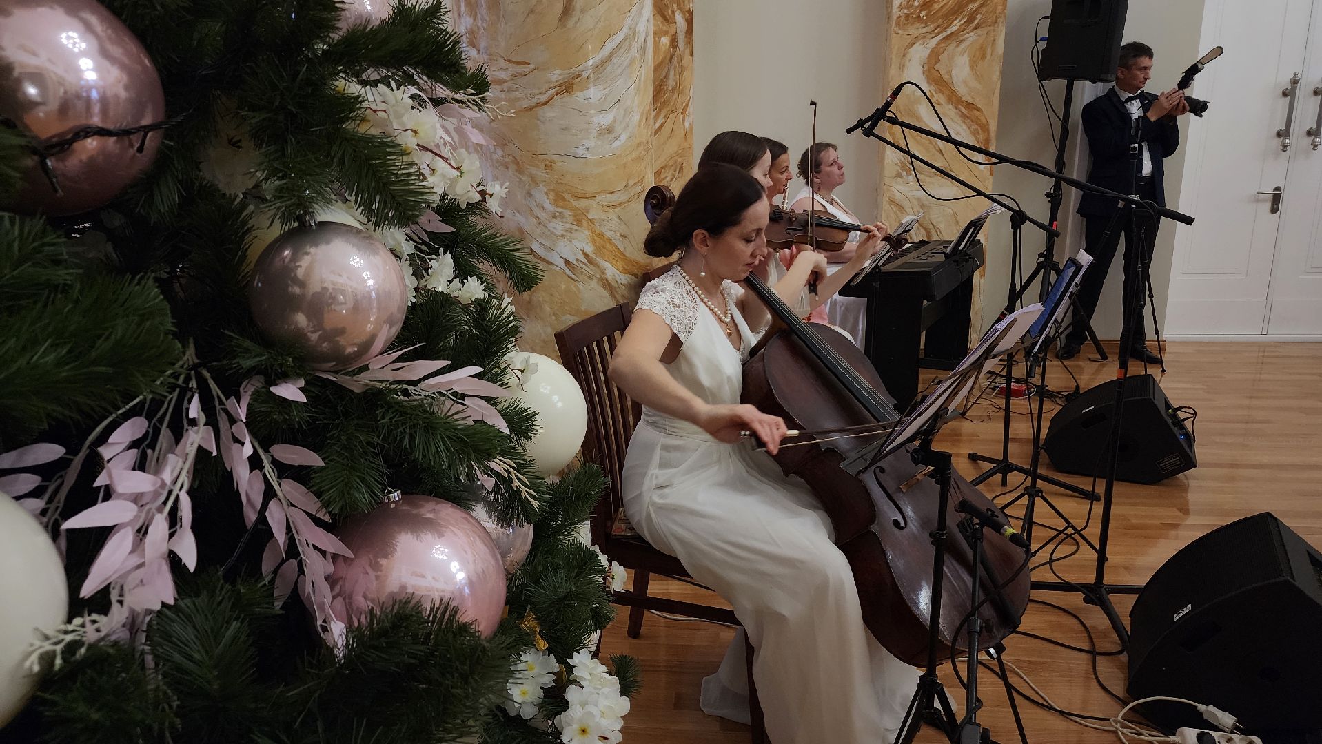 ступино, балы в подмосковье, культура подмосковья,