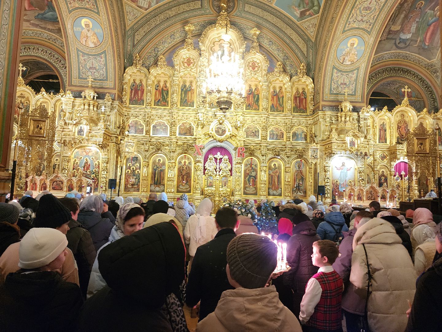 вертикалки, Егорьевск, Подмосковье, Московская область, Рождество,