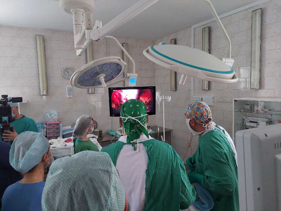 Воскресенск, общество