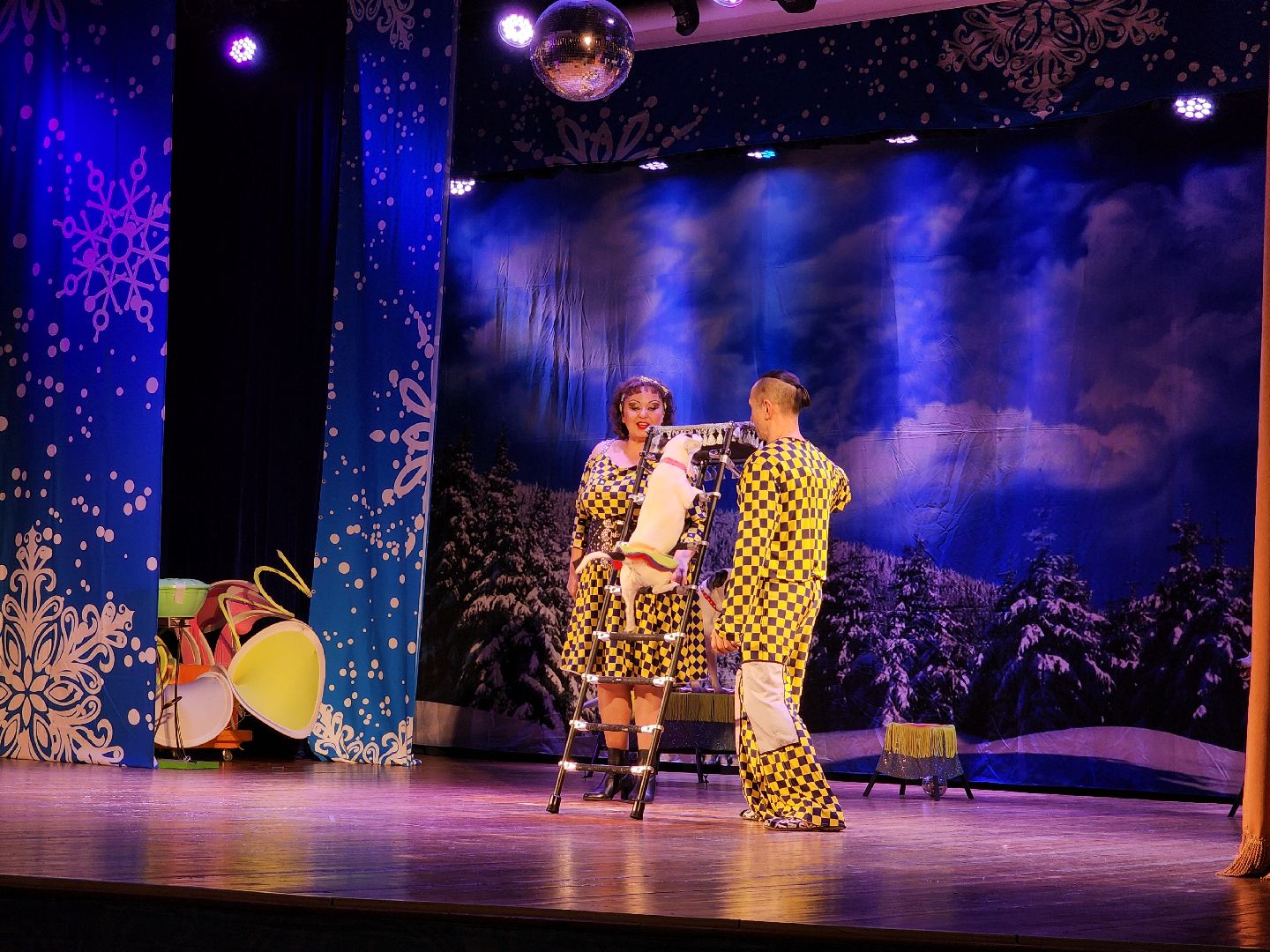 рождество, рождество христово, представление, руза, рузский городской округ, культура, тучково, зима в подмосковье, вертикалки,