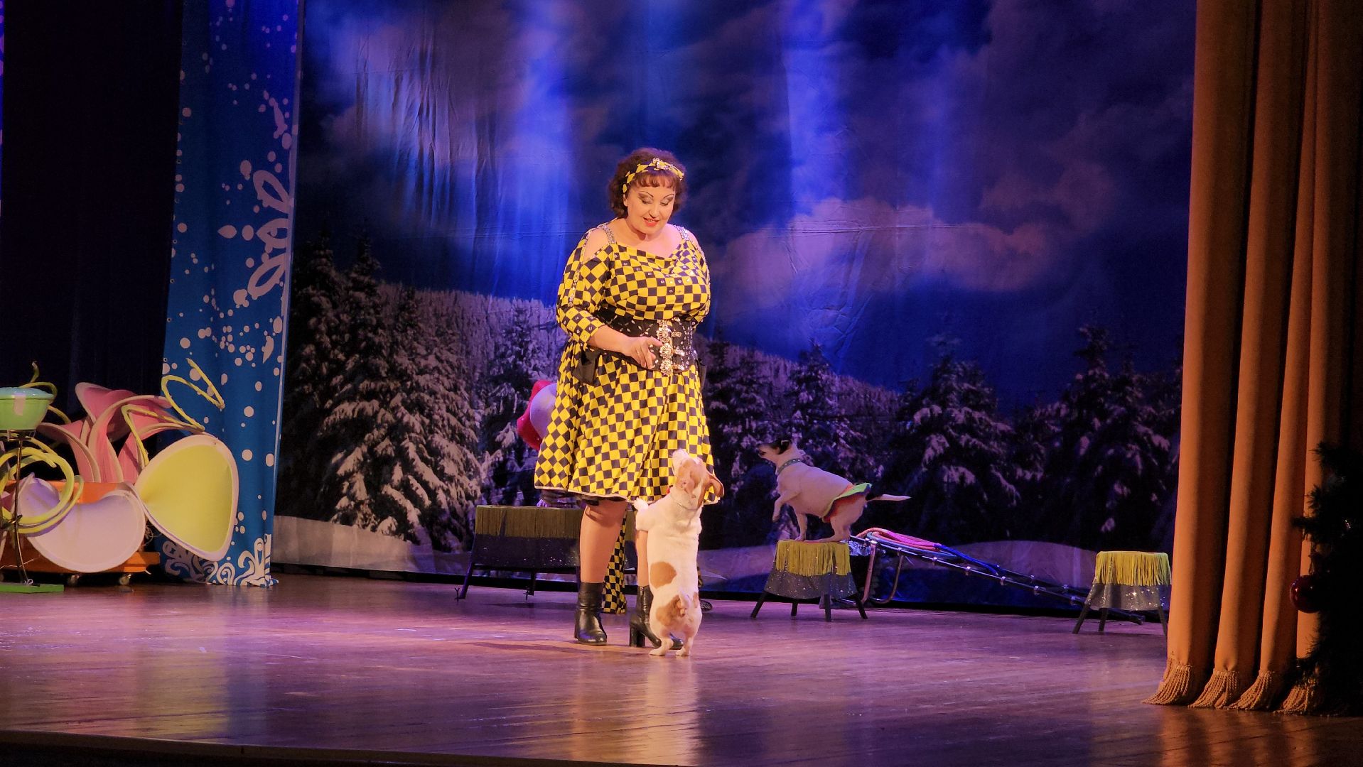 рождество, рождество христово, представление, руза, рузский городской округ, культура, тучково, зима в подмосковье, вертикалки,