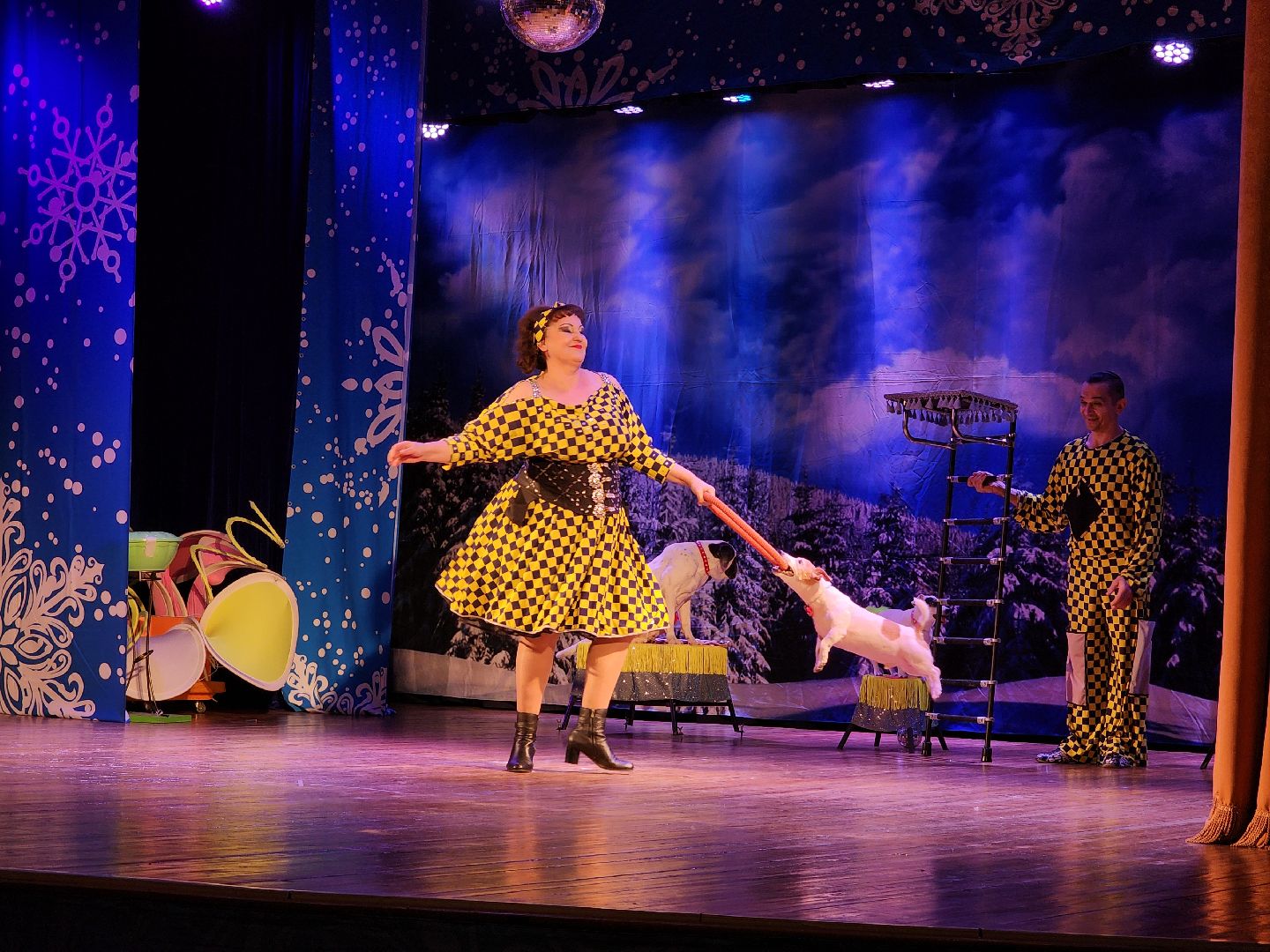 рождество, рождество христово, представление, руза, рузский городской округ, культура, тучково, зима в подмосковье, вертикалки,