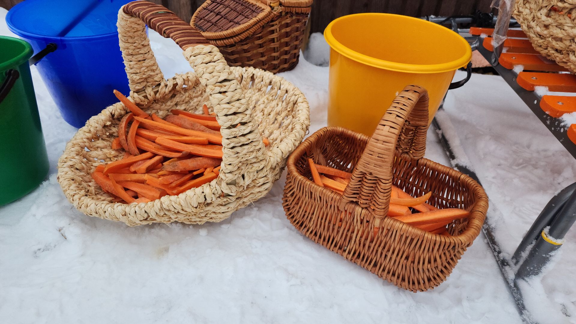 лотошино, зоопространство, контактный зоопарк, семейный досуг,