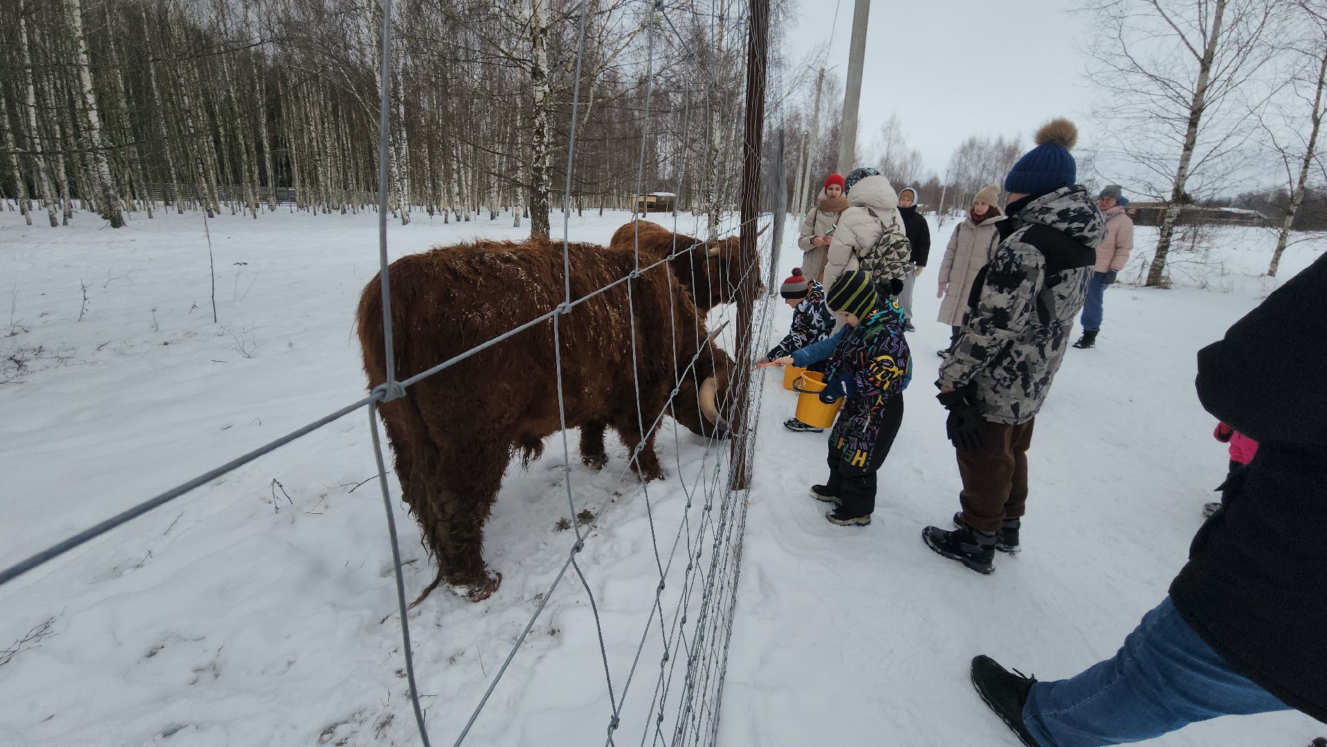 лотошино, зоопространство, контактный зоопарк, семейный досуг,