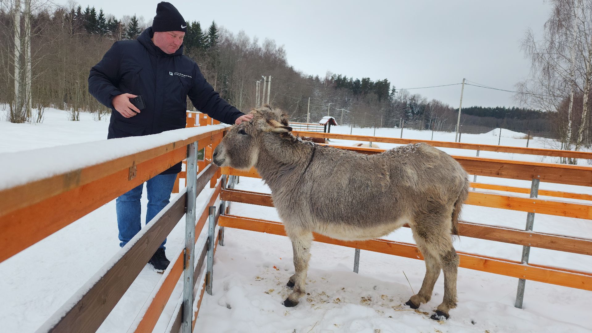 лотошино, зоопространство, контактный зоопарк, семейный досуг,