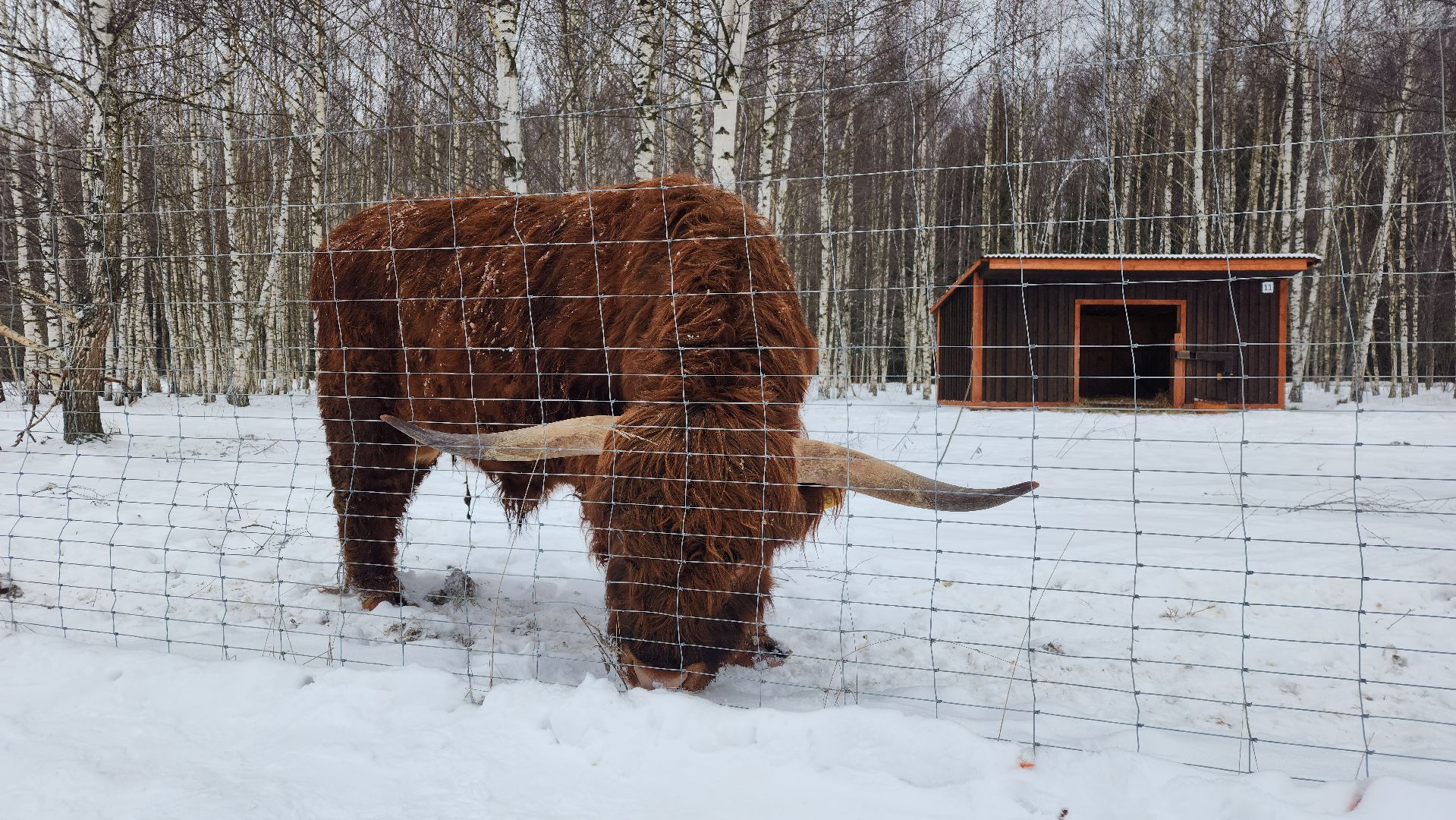 лотошино, зоопространство, контактный зоопарк, семейный досуг,