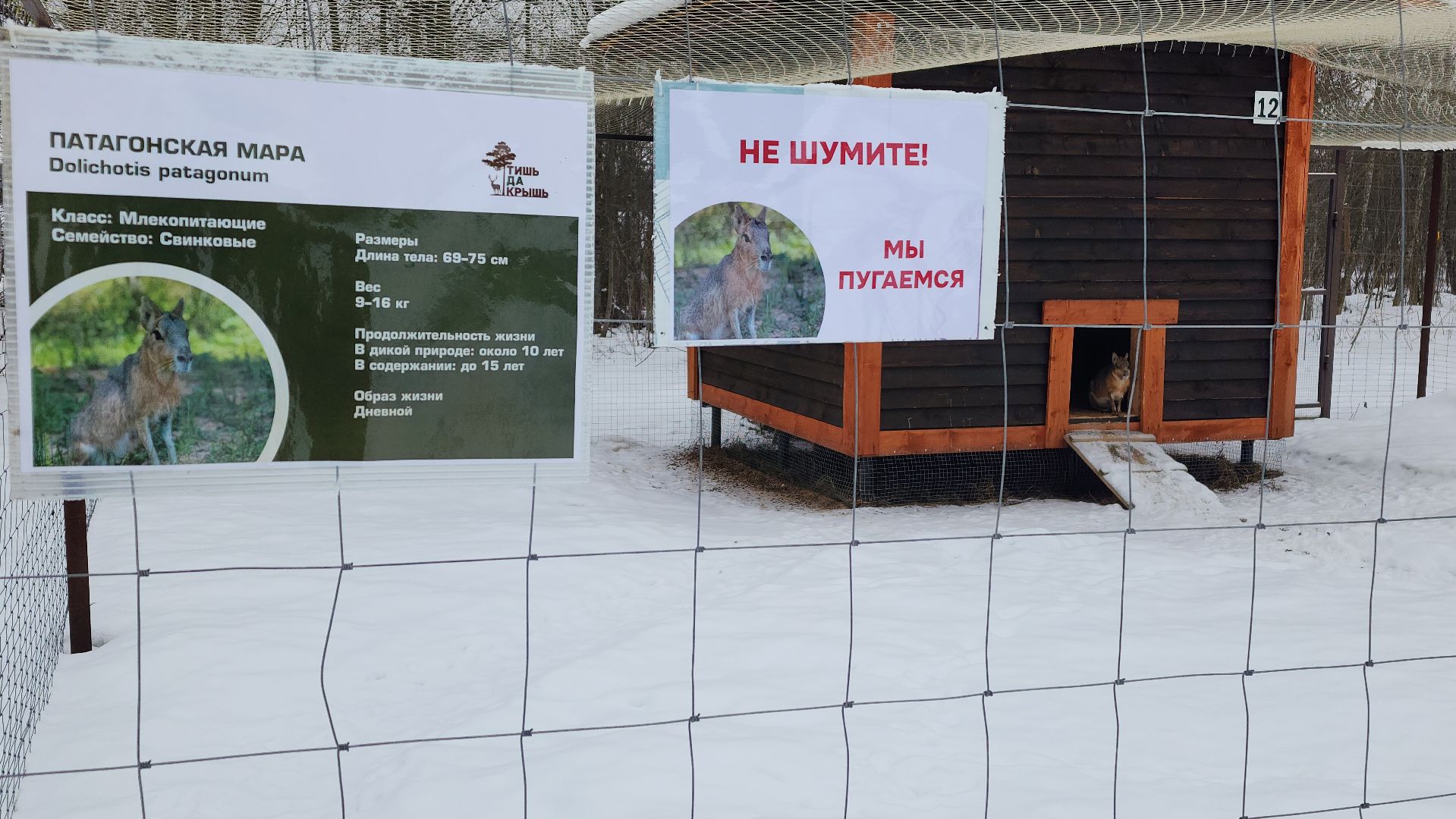 лотошино, зоопространство, контактный зоопарк, семейный досуг,