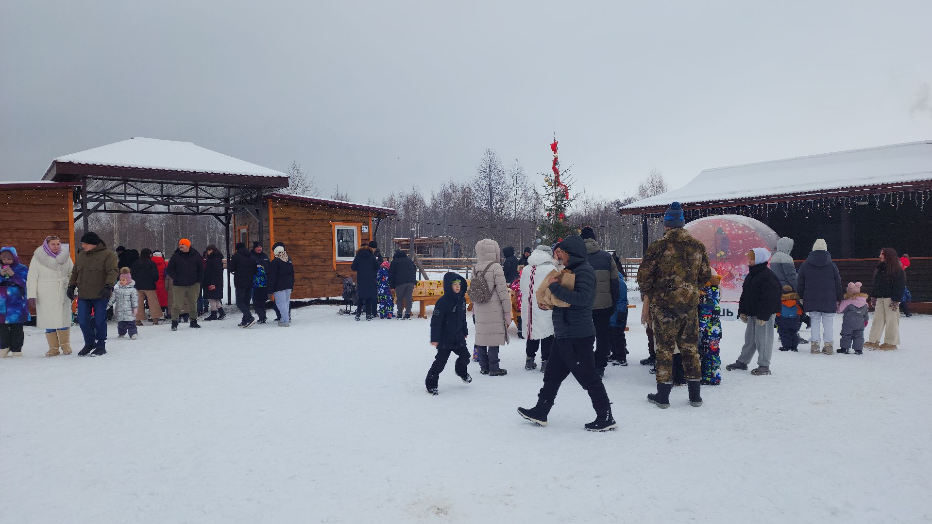 лотошино, зоопространство, контактный зоопарк, семейный досуг,