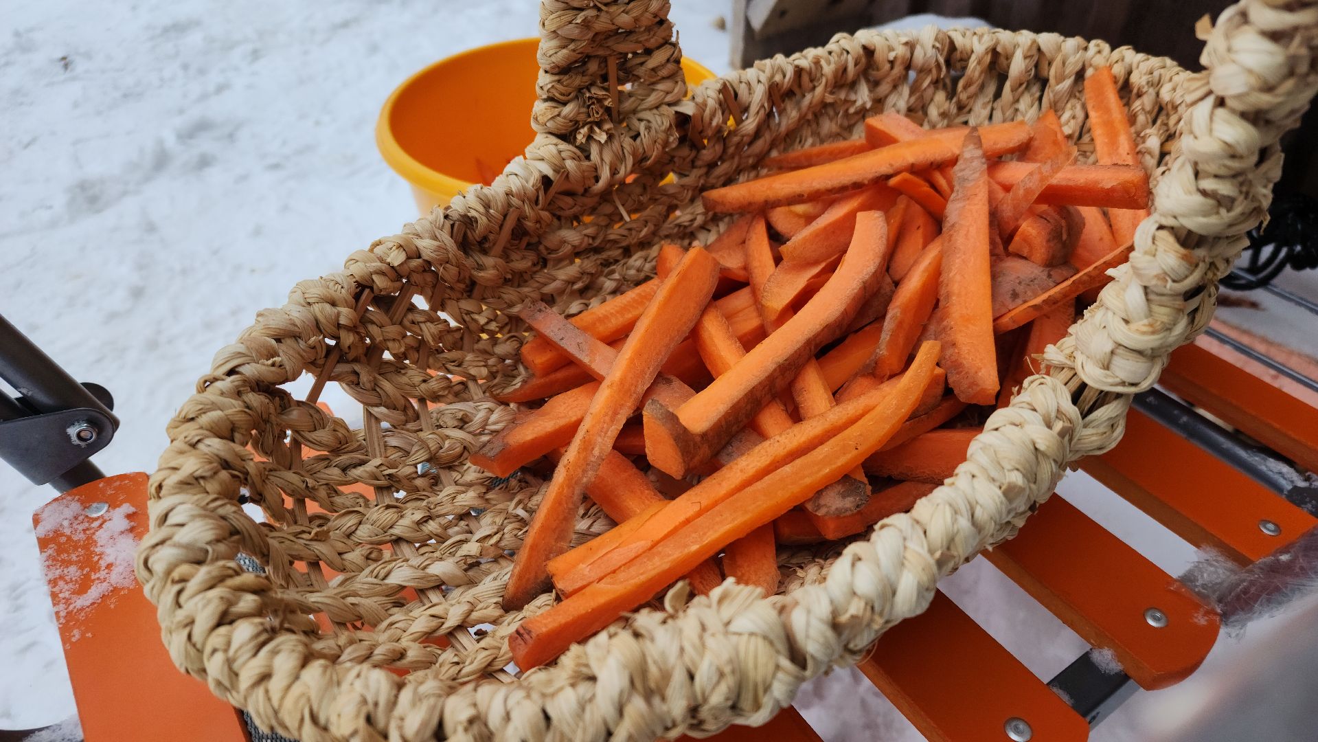 лотошино, зоопространство, контактный зоопарк, семейный досуг,