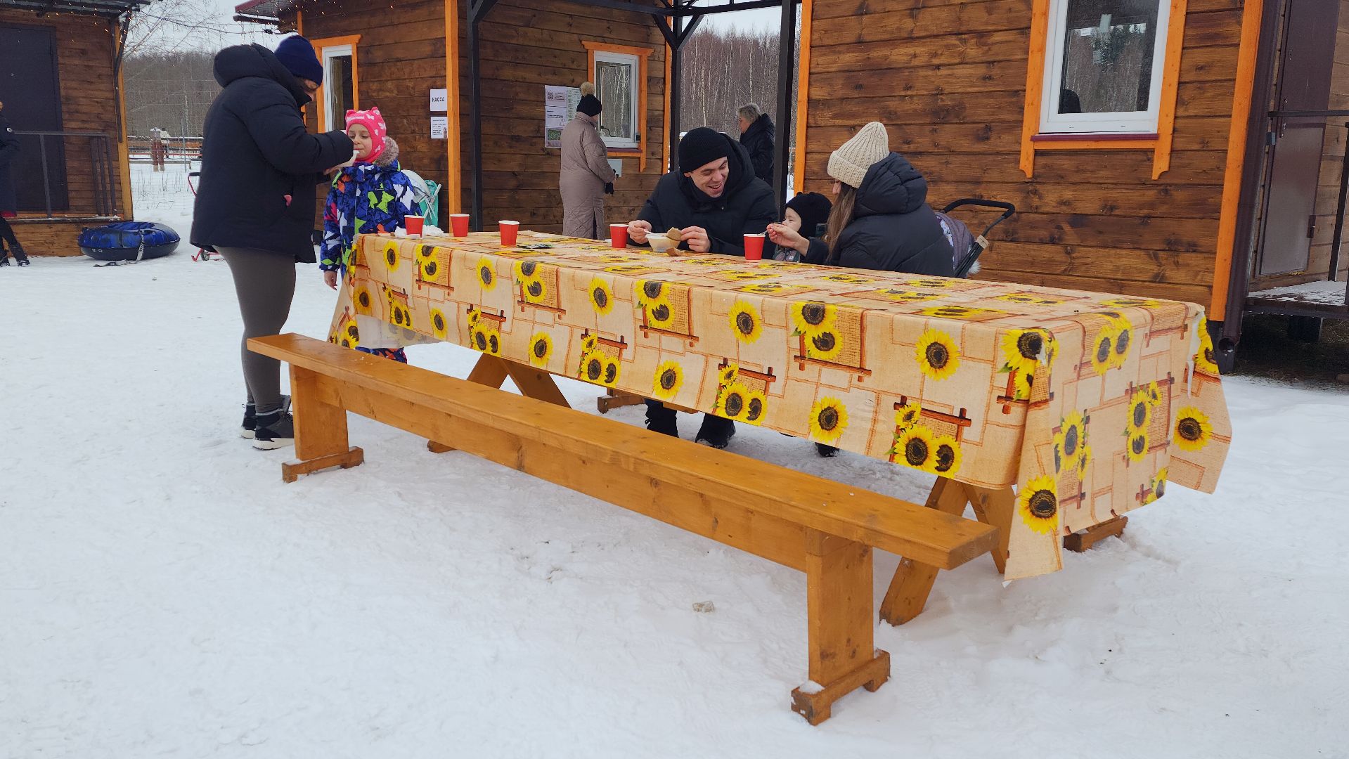 лотошино, зоопространство, контактный зоопарк, семейный досуг,