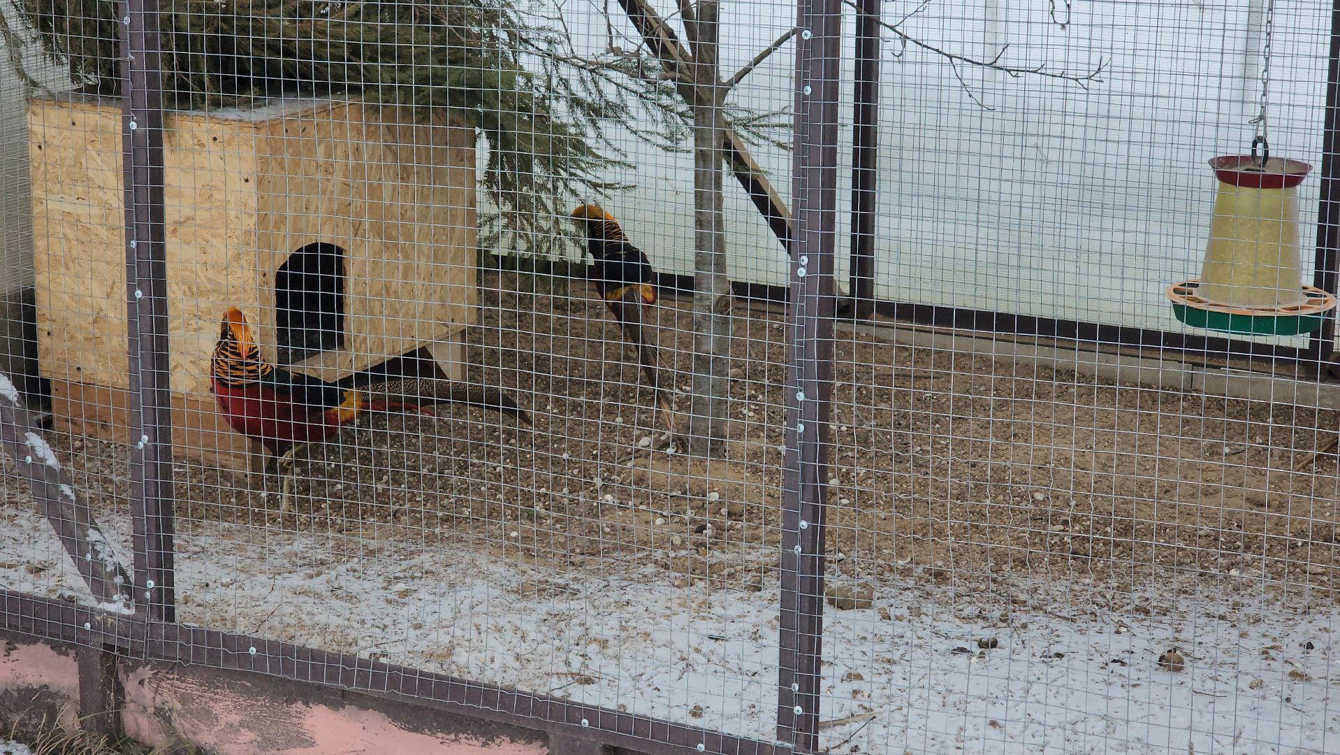 лотошино, зоопространство, контактный зоопарк, семейный досуг,