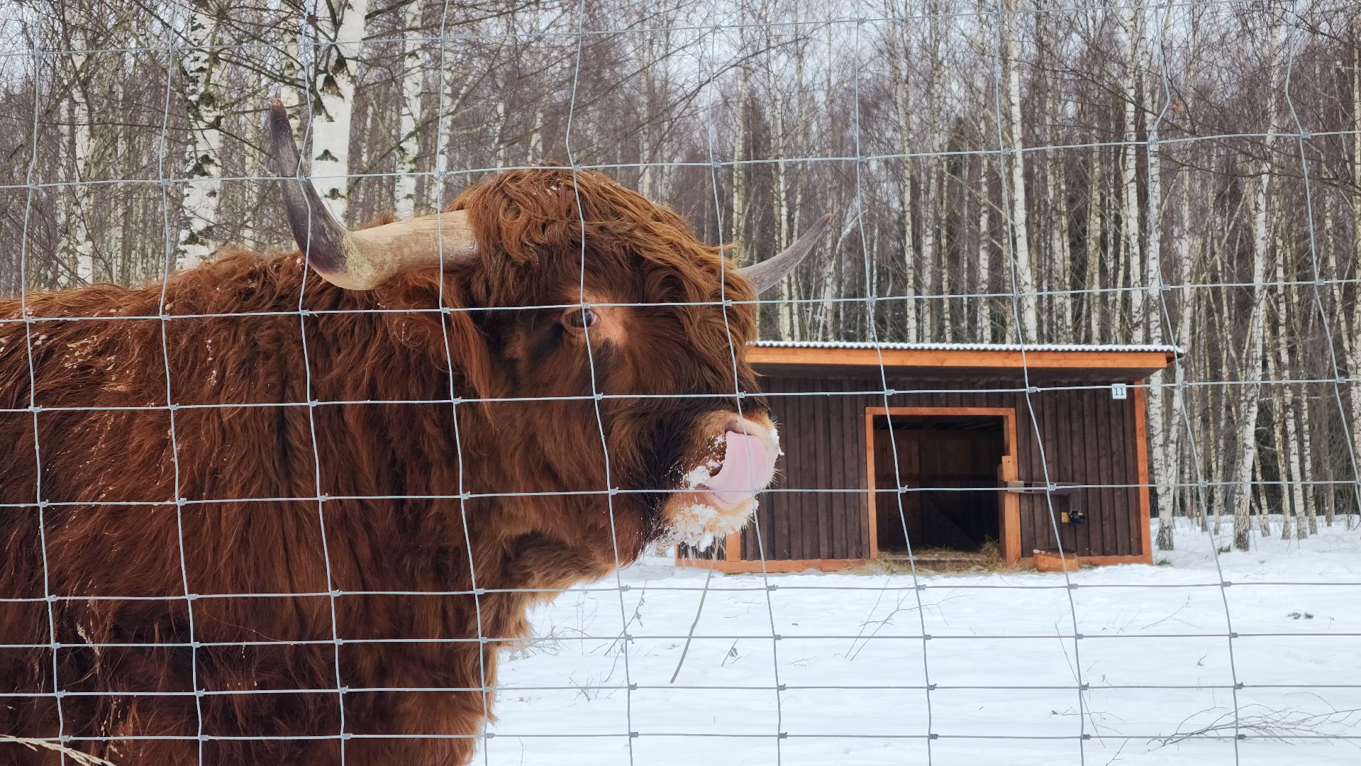 лотошино, зоопространство, контактный зоопарк, семейный досуг,