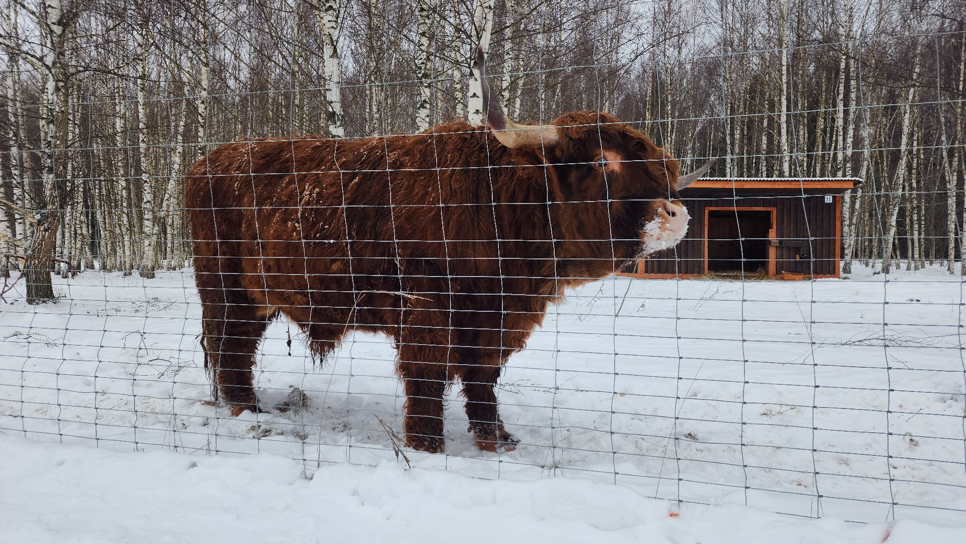 лотошино, зоопространство, контактный зоопарк, семейный досуг,