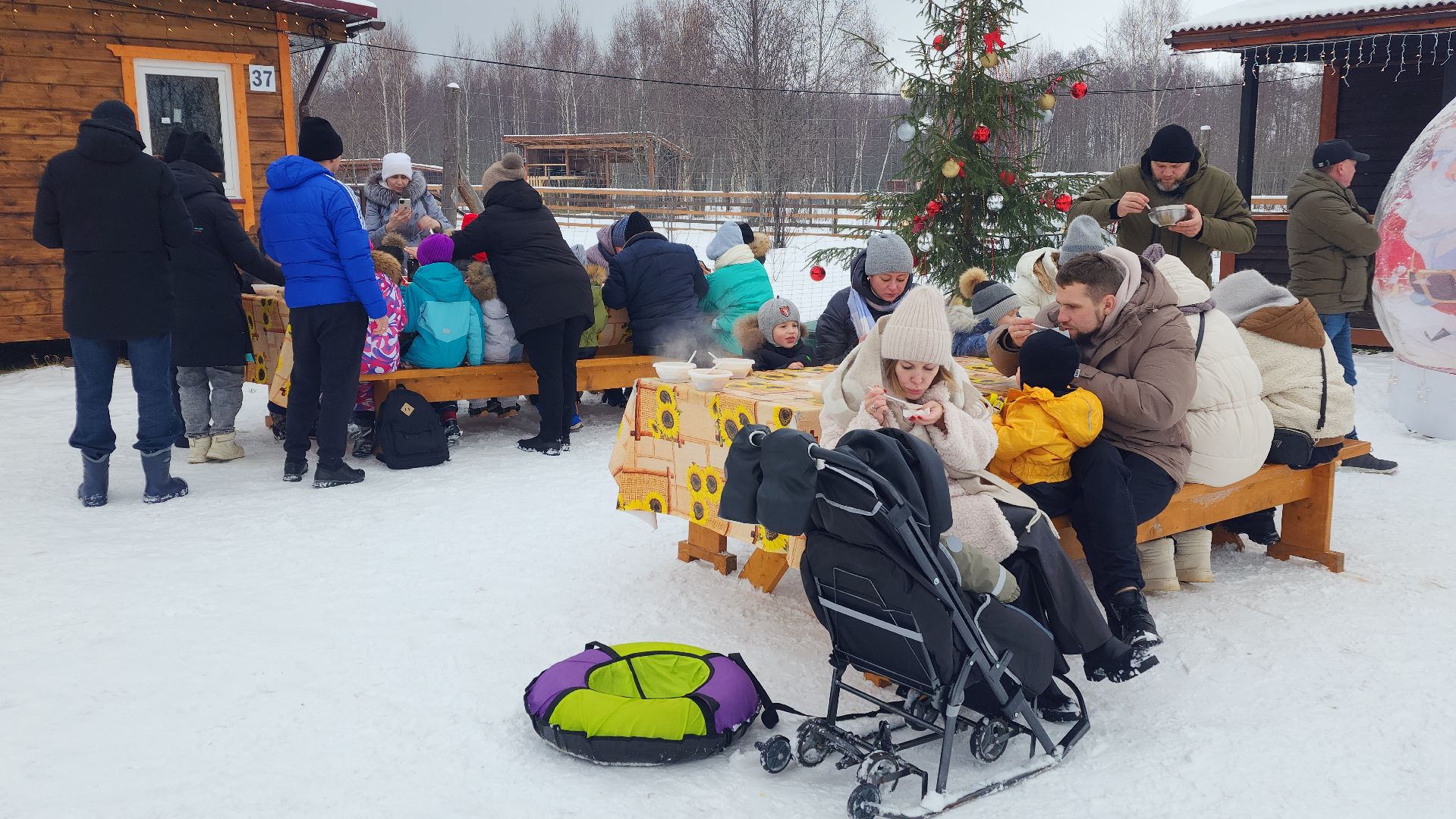 лотошино, зоопространство, контактный зоопарк, семейный досуг,