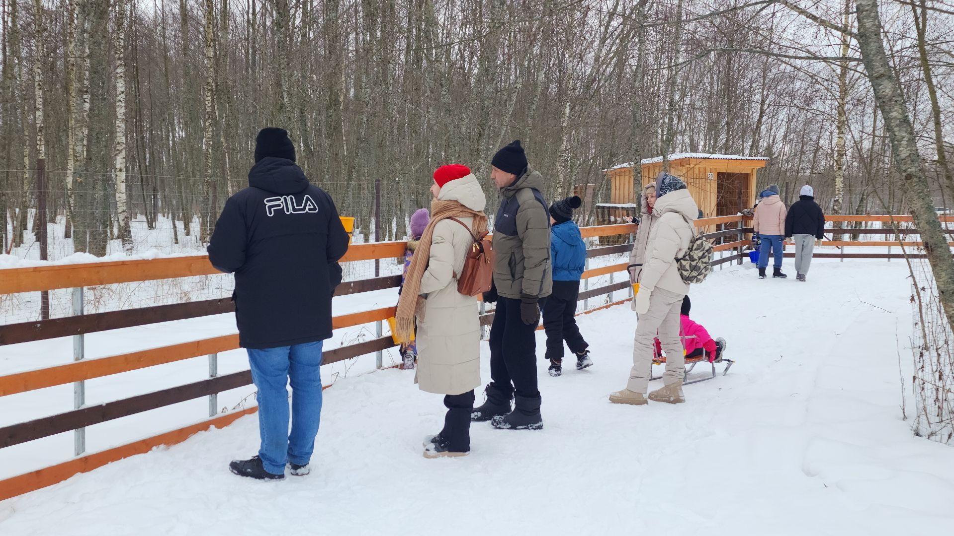 лотошино, зоопространство, контактный зоопарк, семейный досуг,