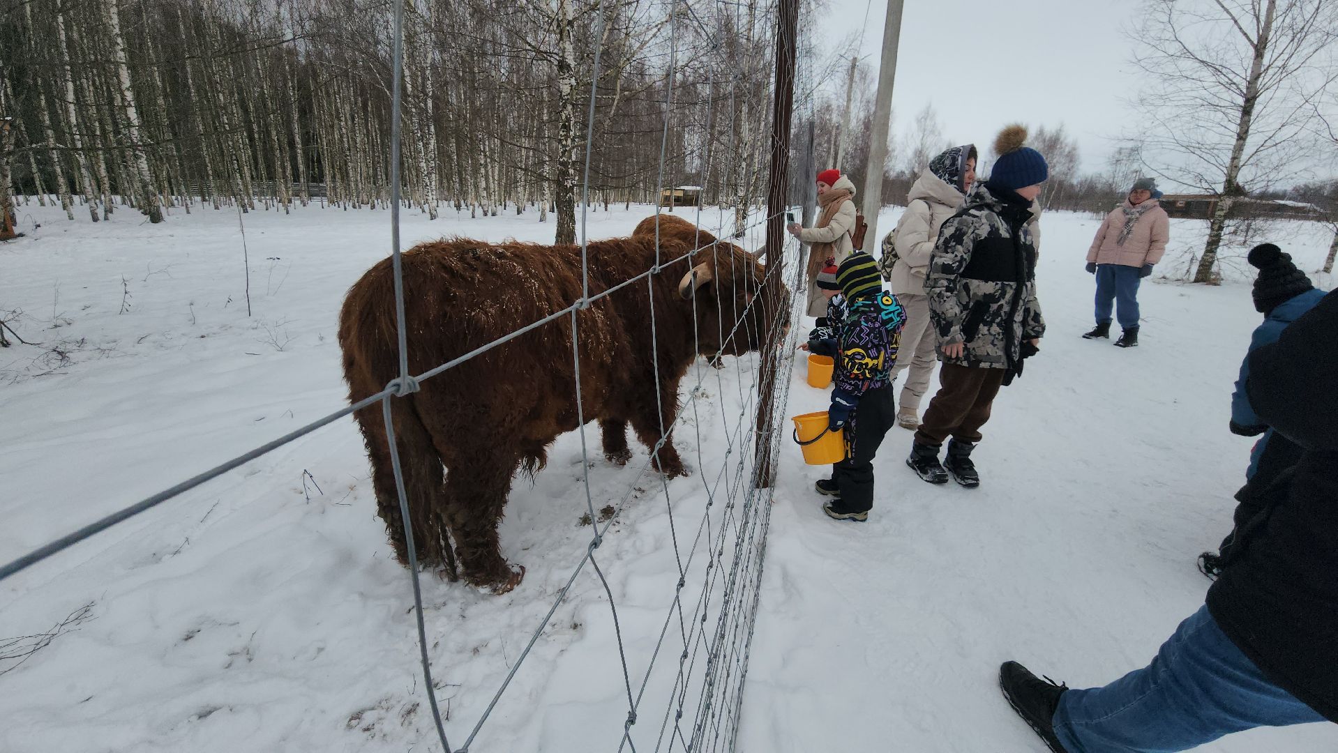 лотошино, зоопространство, контактный зоопарк, семейный досуг,