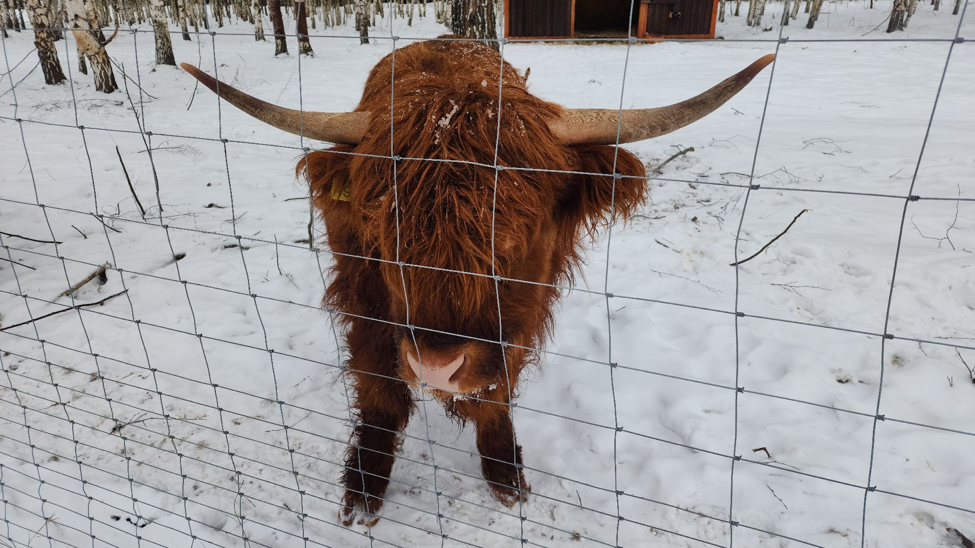 лотошино, зоопространство, контактный зоопарк, семейный досуг,