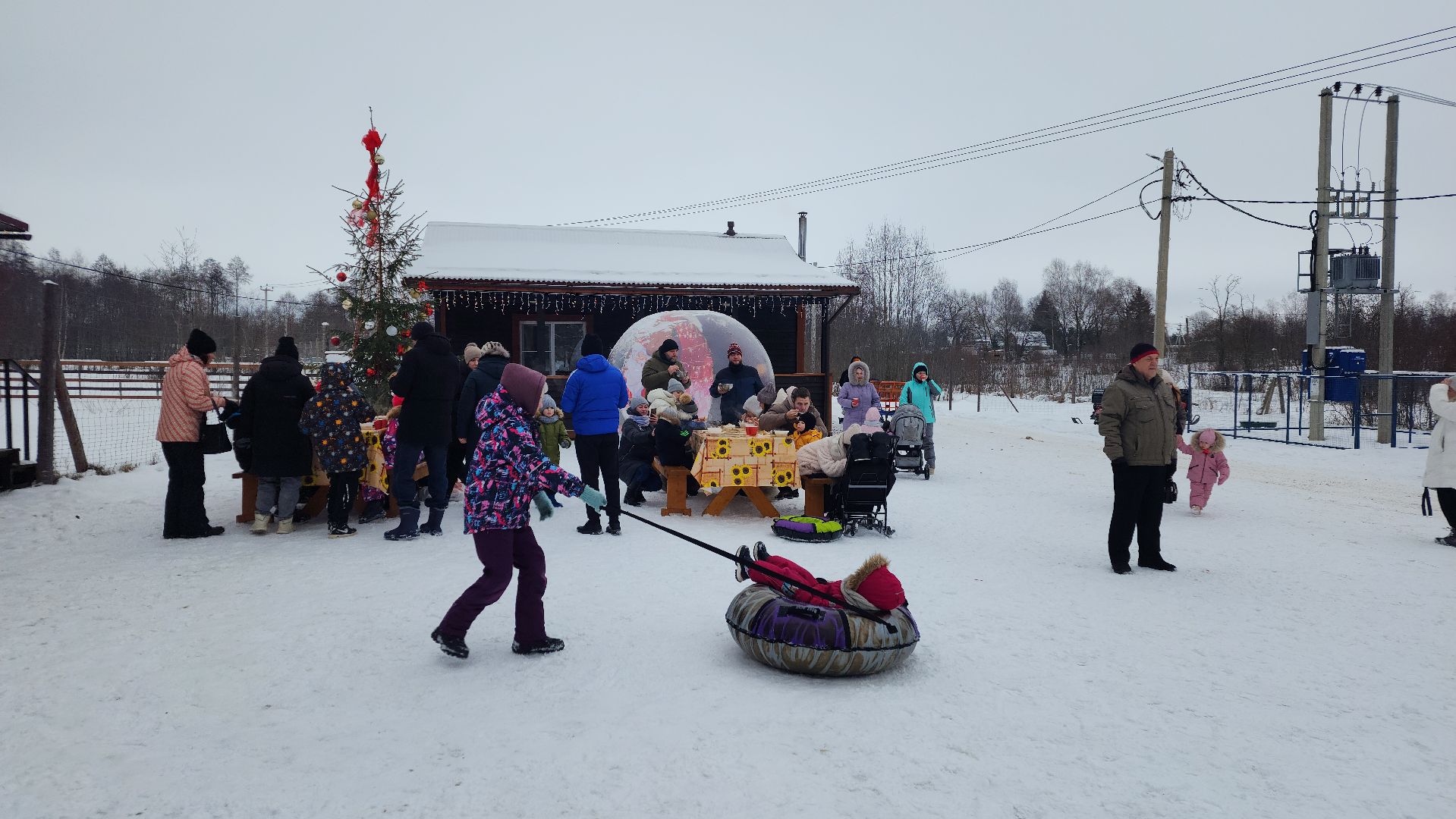 лотошино, зоопространство, контактный зоопарк, семейный досуг,