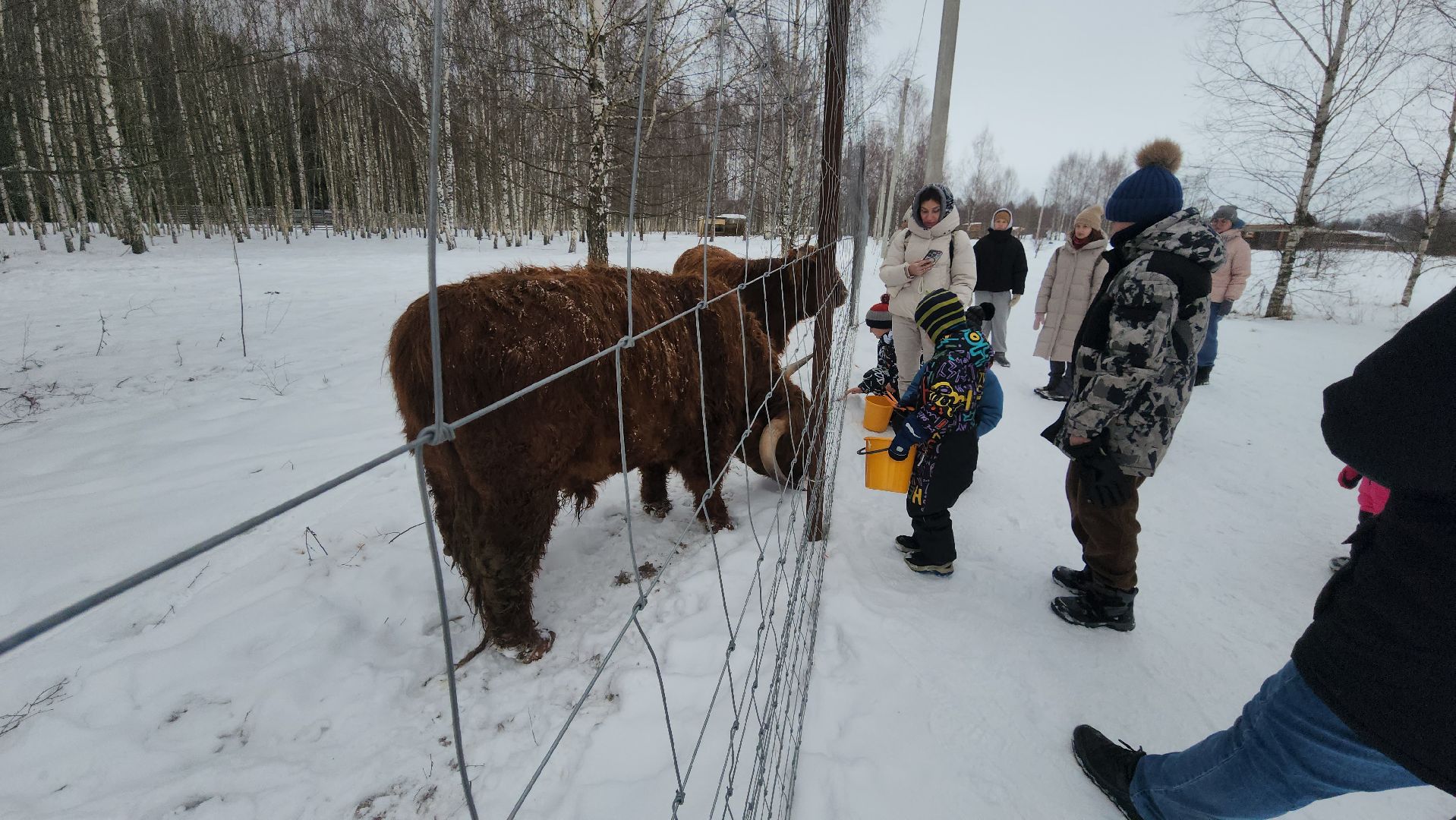 лотошино, зоопространство, контактный зоопарк, семейный досуг,